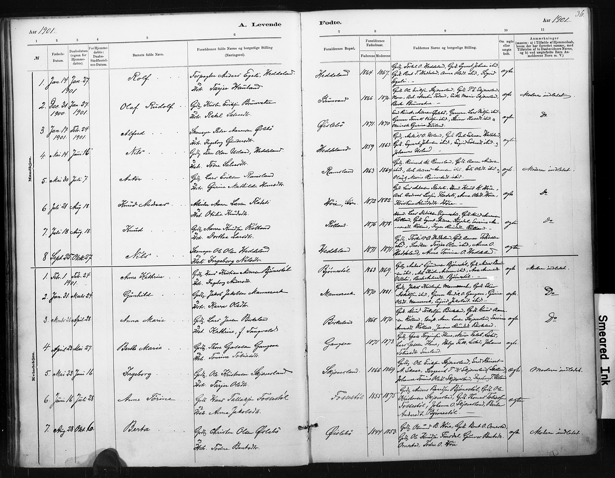 Holum sokneprestkontor, AV/SAK-1111-0022/F/Fa/Fac/L0004: Parish register (official) no. A 4, 1884-1907, p. 36