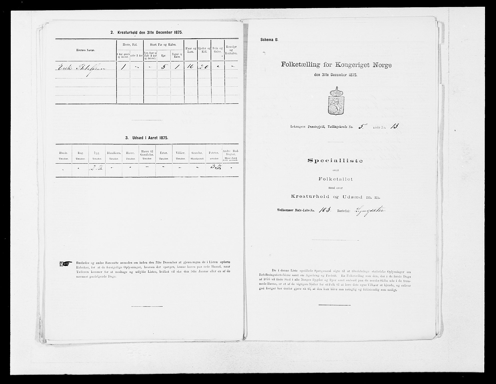 SAB, 1875 census for 1419P Leikanger, 1875, p. 432