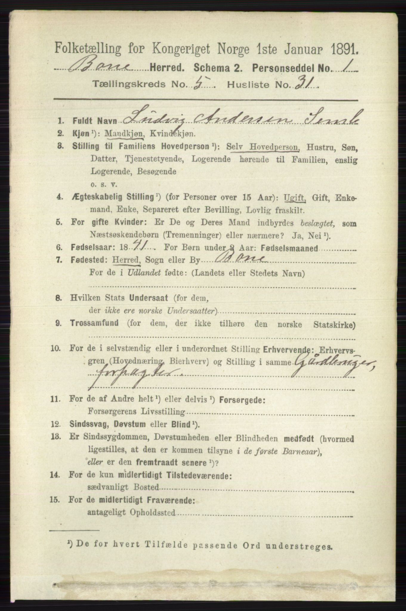 RA, 1891 census for 0717 Borre, 1891, p. 2208