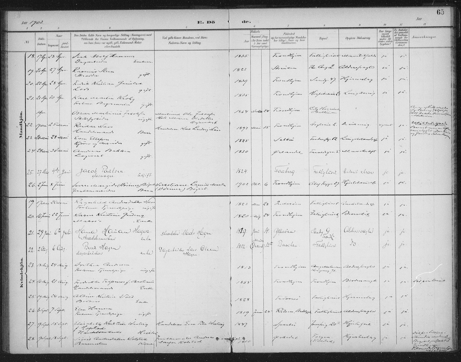 Ministerialprotokoller, klokkerbøker og fødselsregistre - Sør-Trøndelag, AV/SAT-A-1456/602/L0123: Parish register (official) no. 602A21, 1895-1910, p. 65