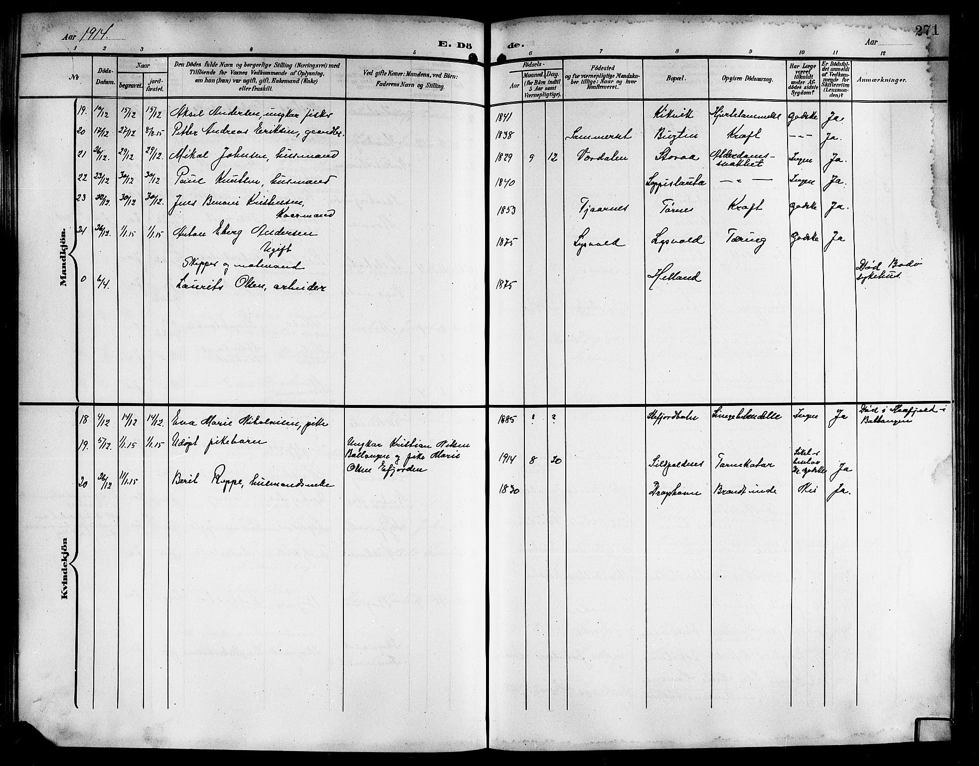 Ministerialprotokoller, klokkerbøker og fødselsregistre - Nordland, AV/SAT-A-1459/861/L0877: Parish register (copy) no. 861C03, 1903-1919, p. 271