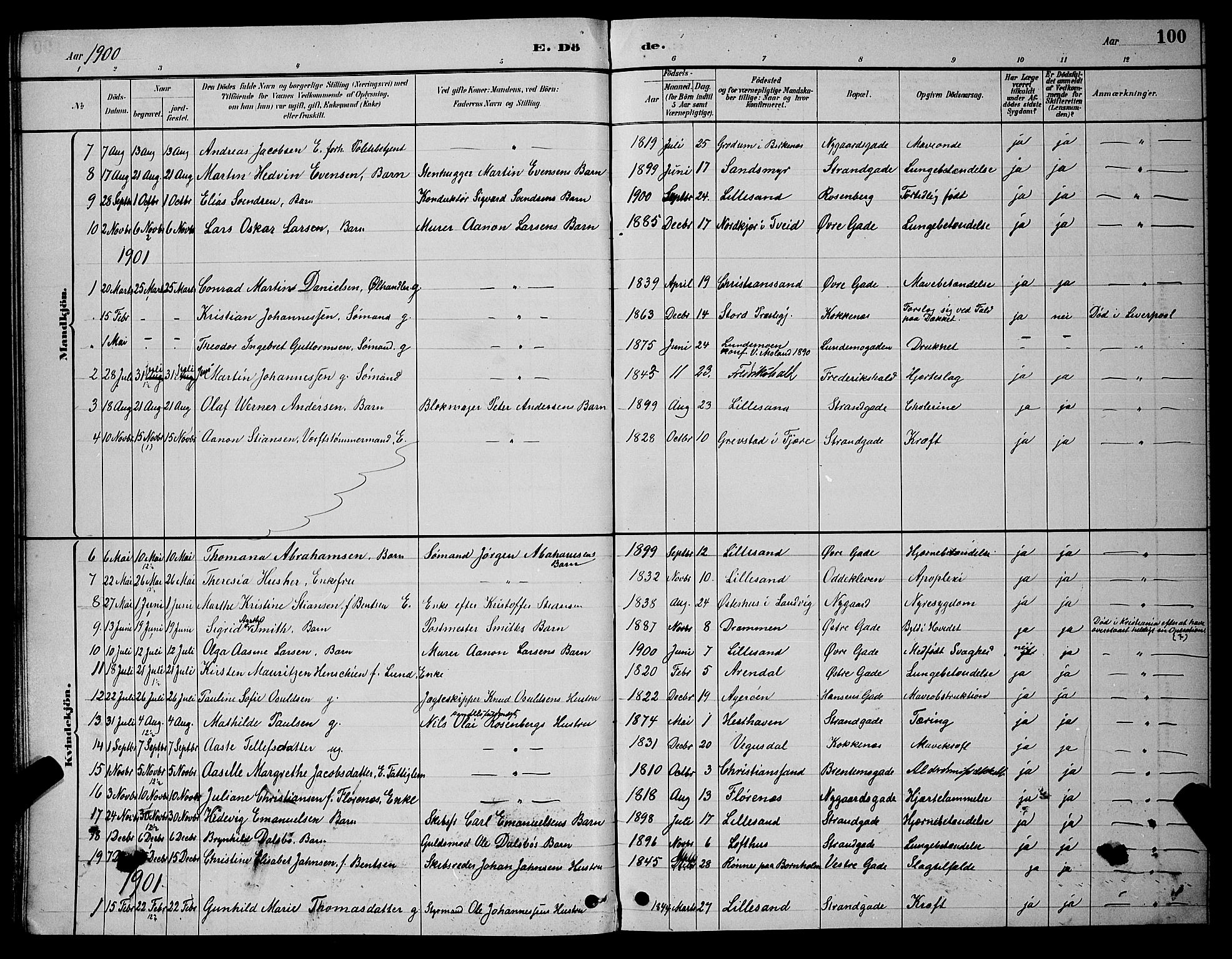 Vestre Moland sokneprestkontor, SAK/1111-0046/F/Fb/Fba/L0001: Parish register (copy) no. B 1, 1884-1903, p. 100