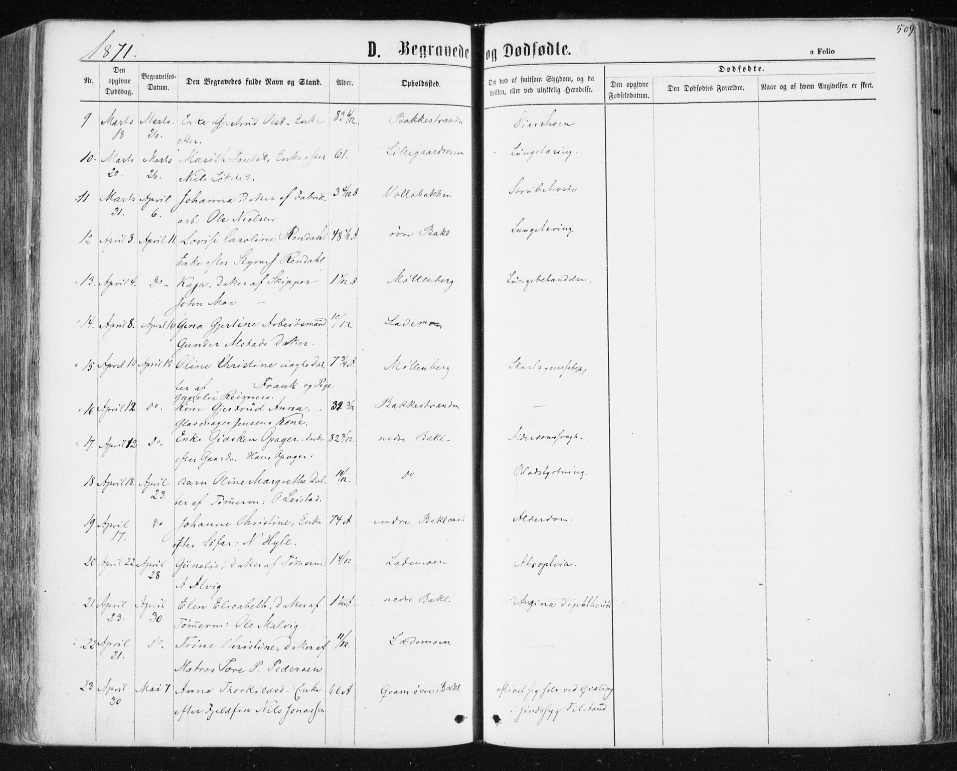 Ministerialprotokoller, klokkerbøker og fødselsregistre - Sør-Trøndelag, SAT/A-1456/604/L0186: Parish register (official) no. 604A07, 1866-1877, p. 509