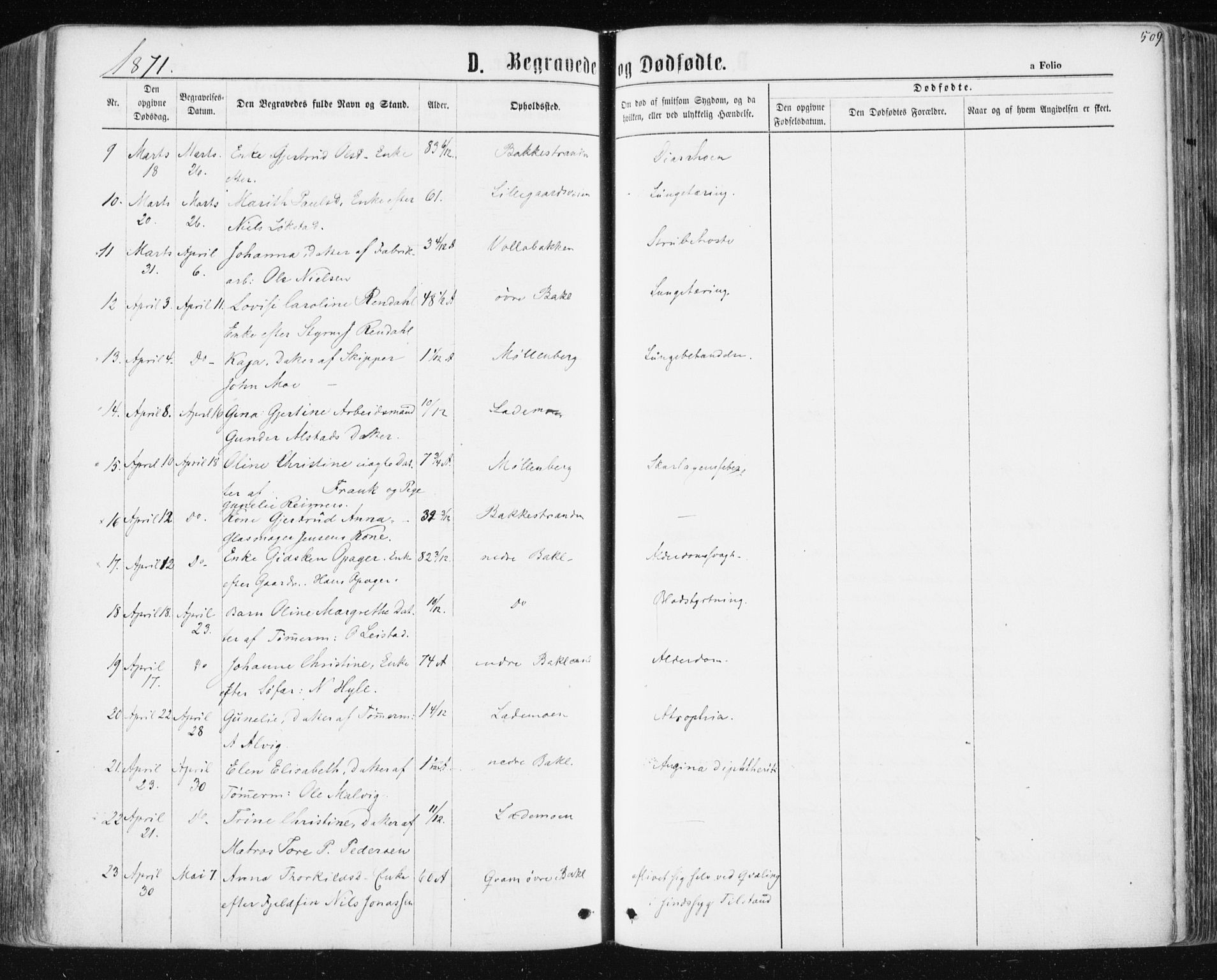 Ministerialprotokoller, klokkerbøker og fødselsregistre - Sør-Trøndelag, AV/SAT-A-1456/604/L0186: Parish register (official) no. 604A07, 1866-1877, p. 509