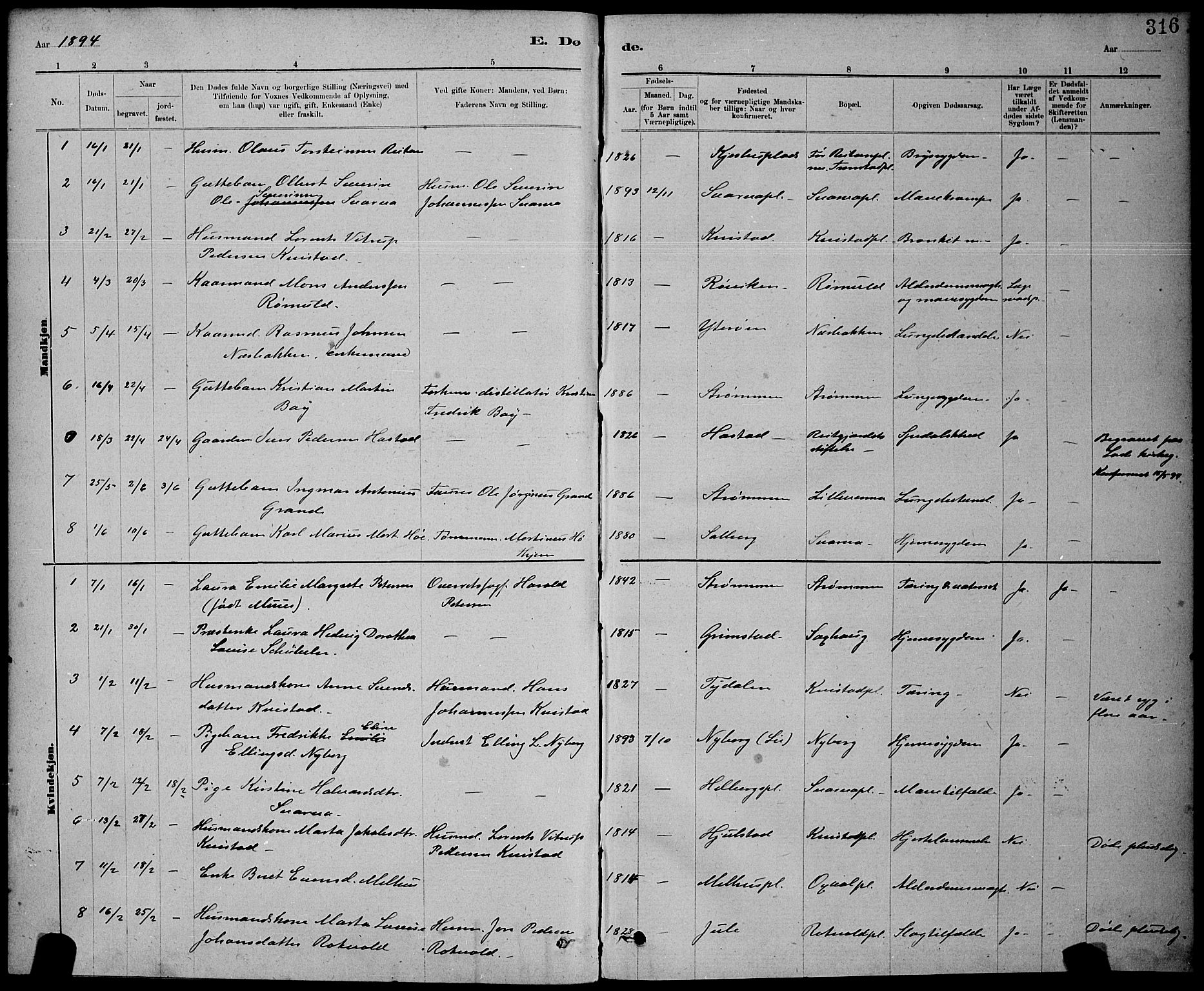 Ministerialprotokoller, klokkerbøker og fødselsregistre - Nord-Trøndelag, SAT/A-1458/730/L0301: Parish register (copy) no. 730C04, 1880-1897, p. 316