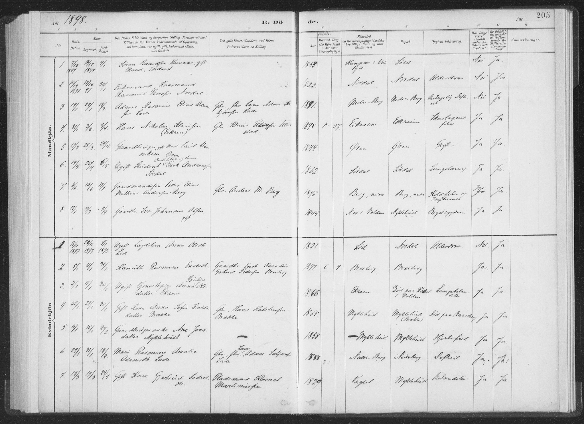 Ministerialprotokoller, klokkerbøker og fødselsregistre - Møre og Romsdal, AV/SAT-A-1454/502/L0025: Parish register (official) no. 502A03, 1885-1909, p. 205