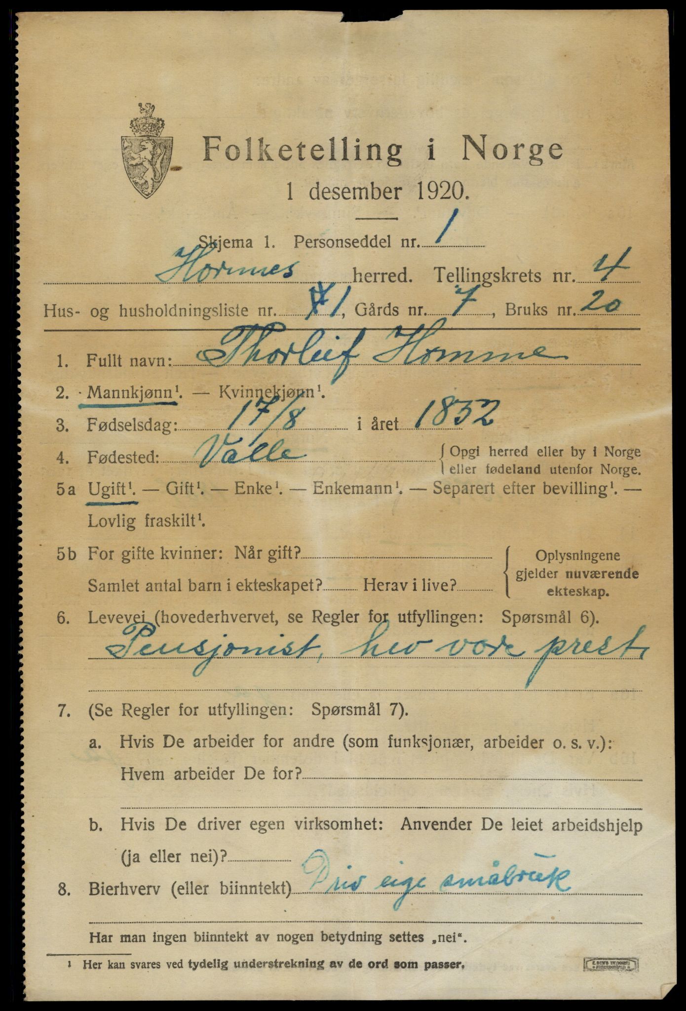 SAK, 1920 census for Hornnes, 1920, p. 1137