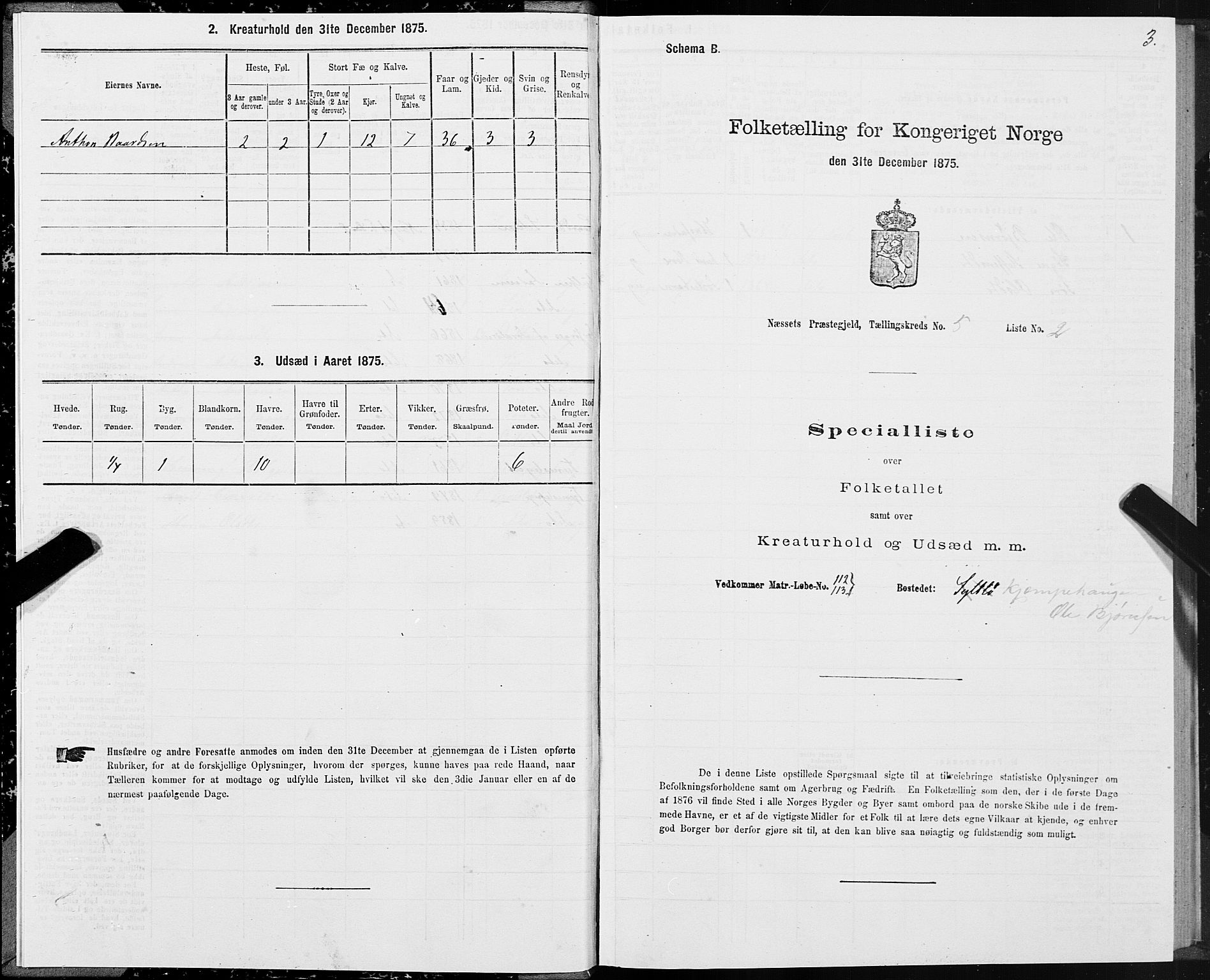 SAT, 1875 census for 1543P Nesset, 1875, p. 3003