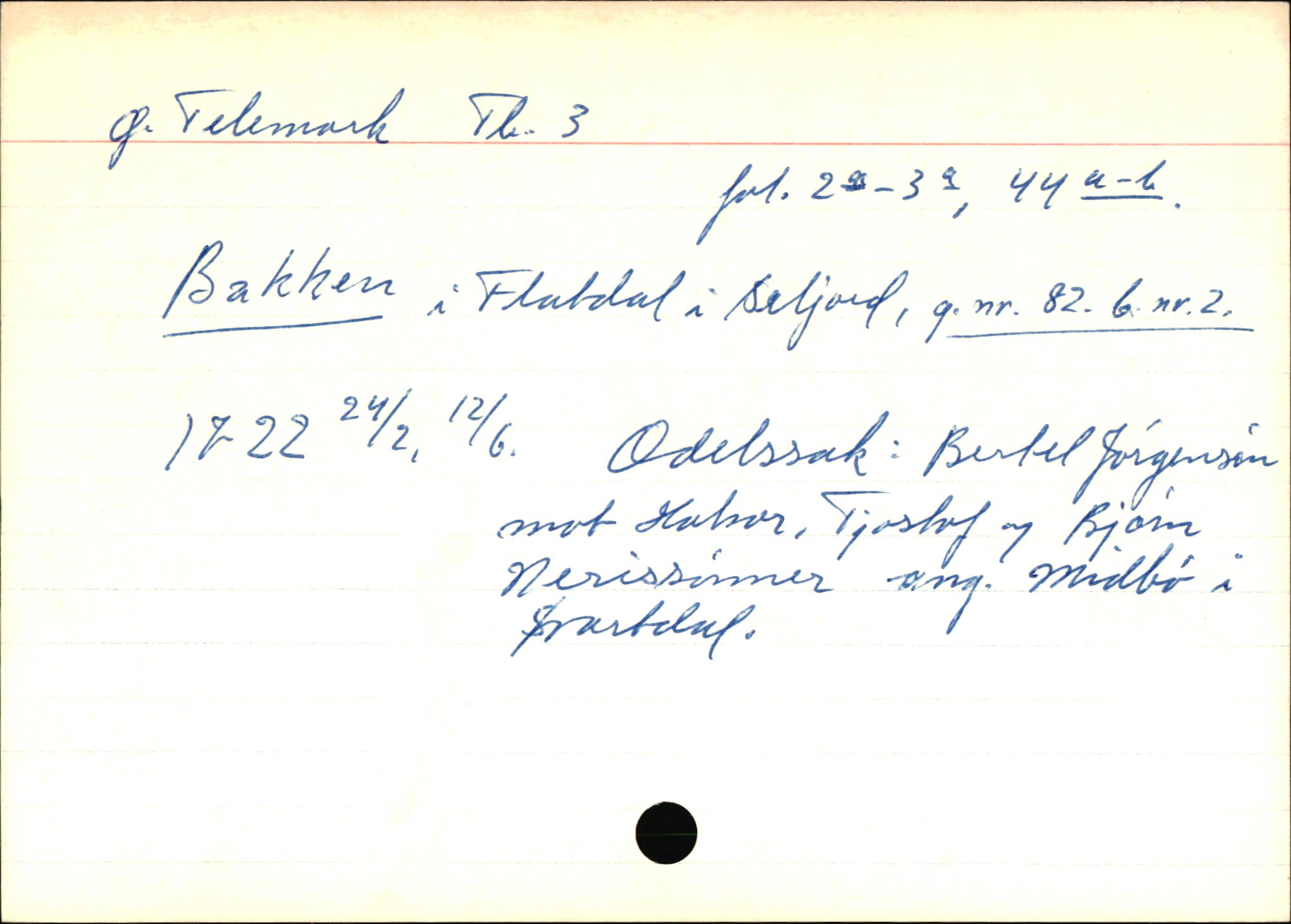 Statsarkivet i Kongsberg, AV/SAKO-A-0001/E/Ed/L0003/0020: Registerkort til avskrifter for eiendommer i Telemark / Eiendommer i Seljord kommune, 1600-1950, p. 3
