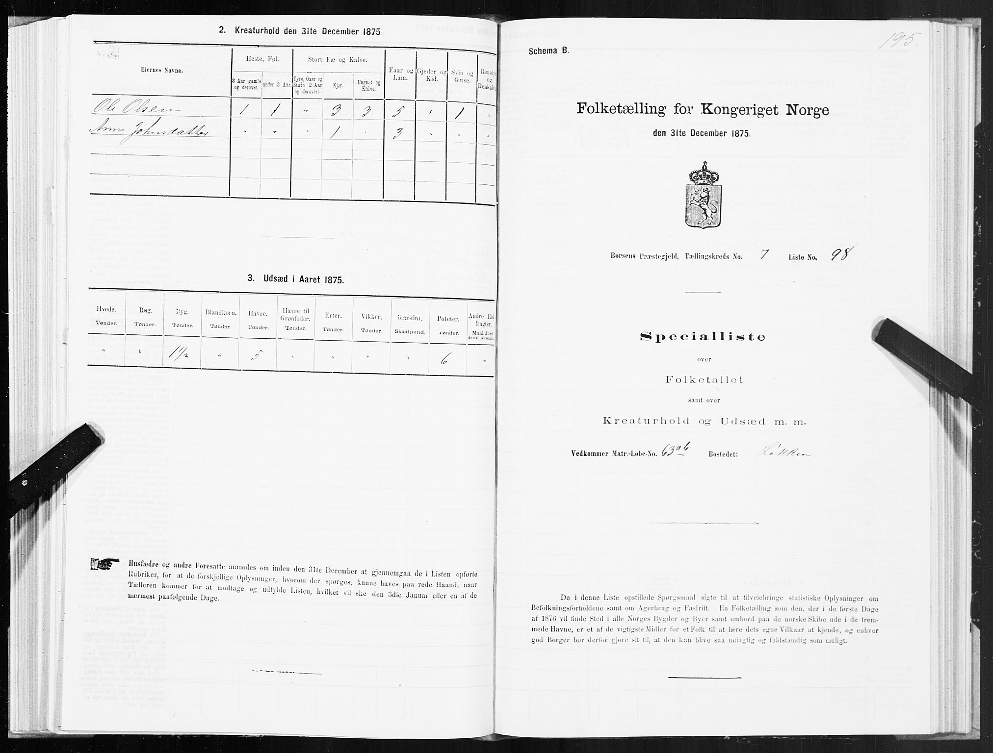 SAT, 1875 census for 1658P Børsa, 1875, p. 5195