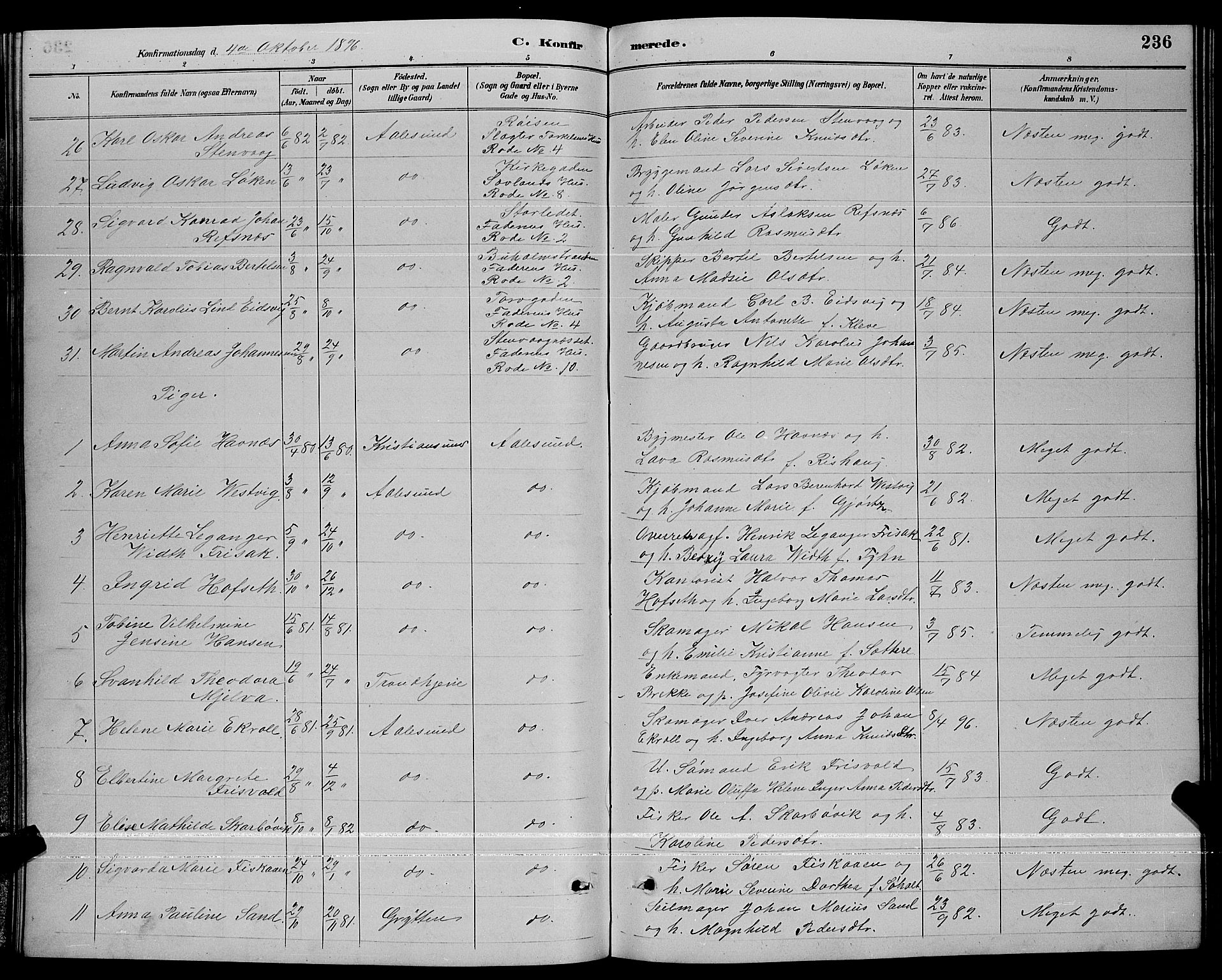 Ministerialprotokoller, klokkerbøker og fødselsregistre - Møre og Romsdal, AV/SAT-A-1454/529/L0467: Parish register (copy) no. 529C04, 1889-1897, p. 236