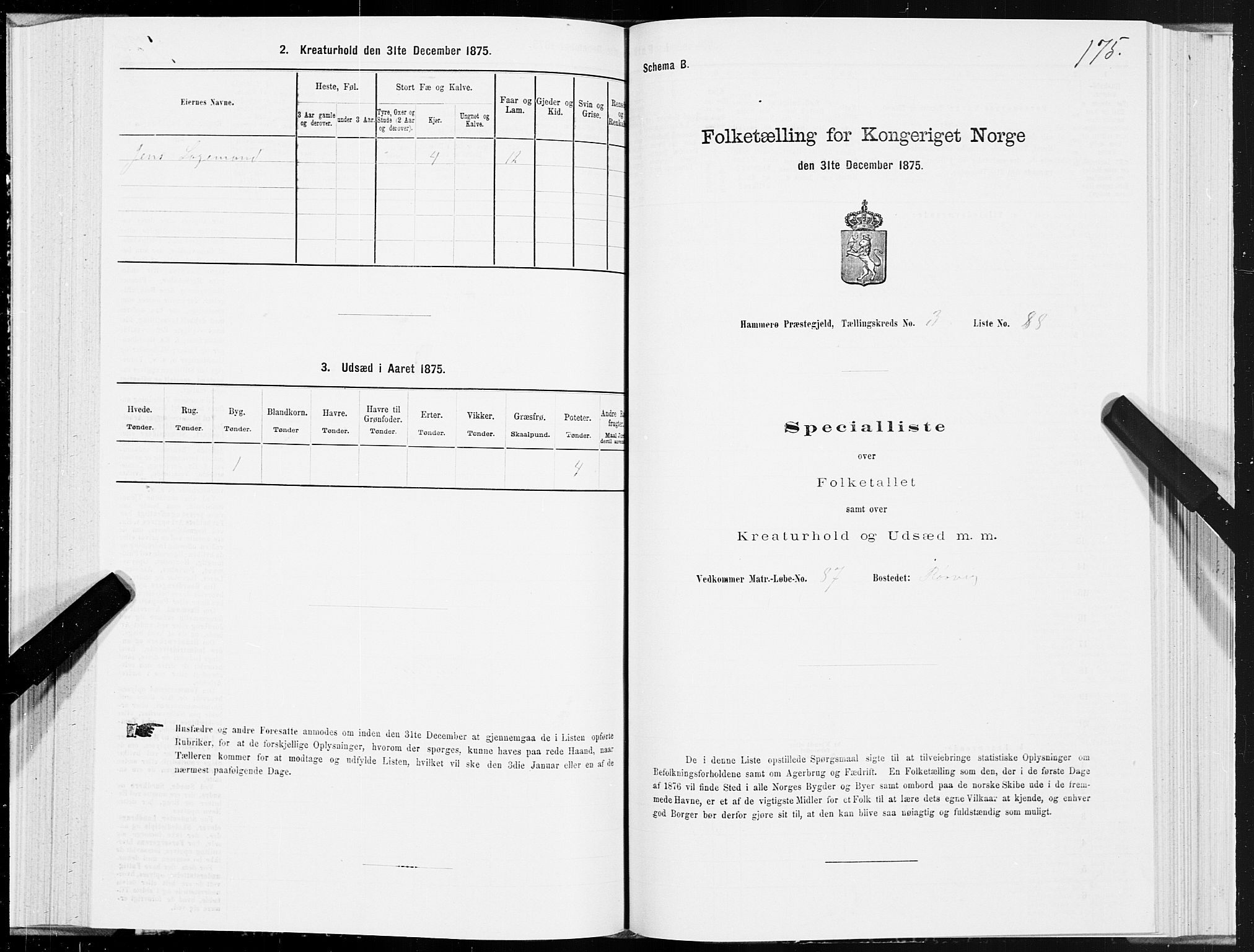 SAT, 1875 census for 1849P Hamarøy, 1875, p. 2175