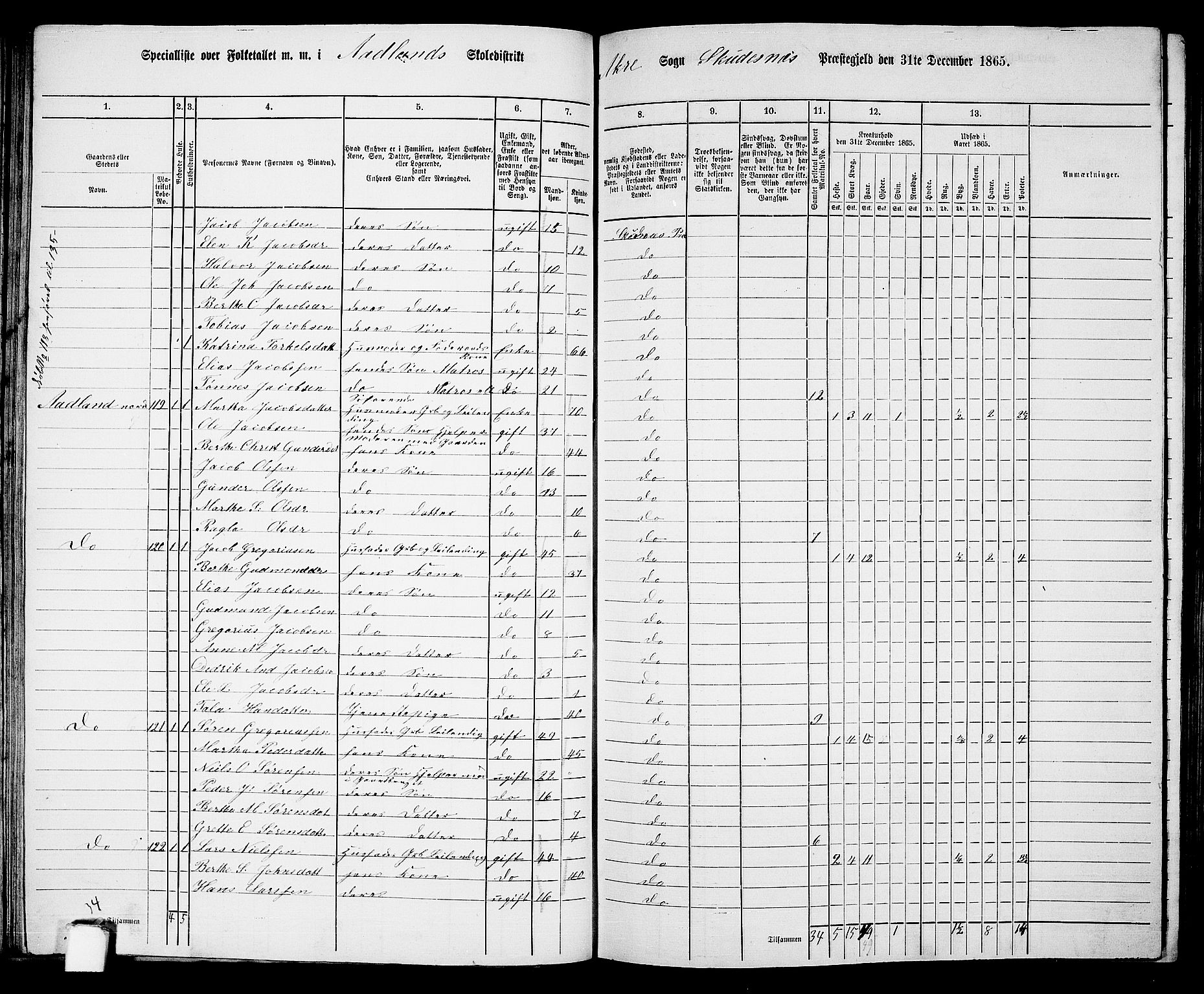 RA, 1865 census for Skudenes, 1865, p. 71