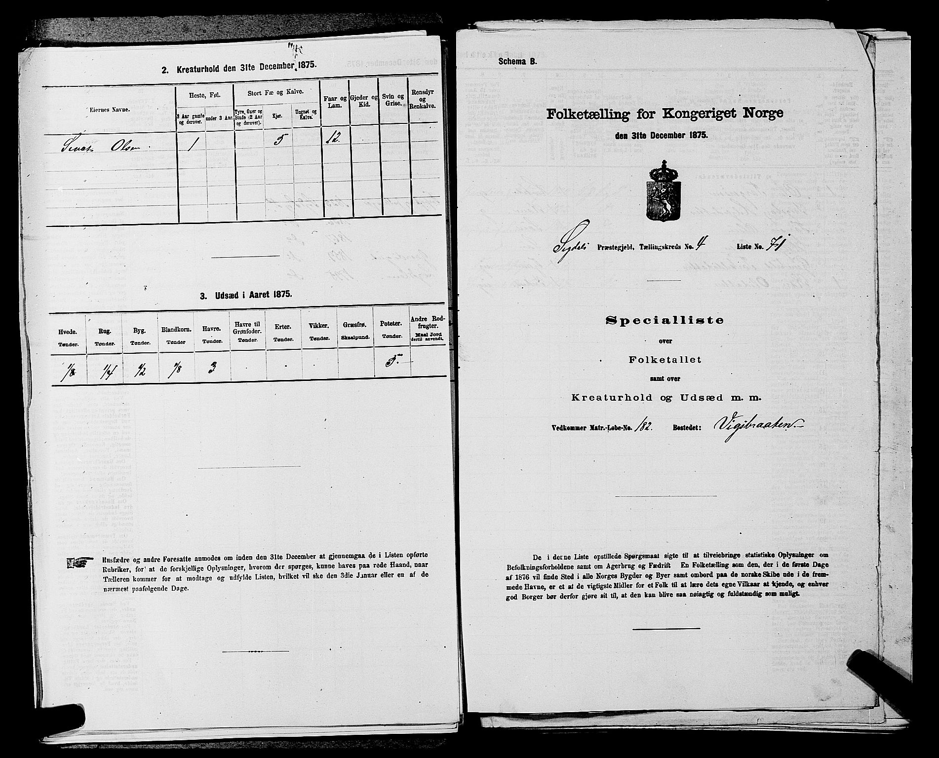 SAKO, 1875 census for 0621P Sigdal, 1875, p. 709