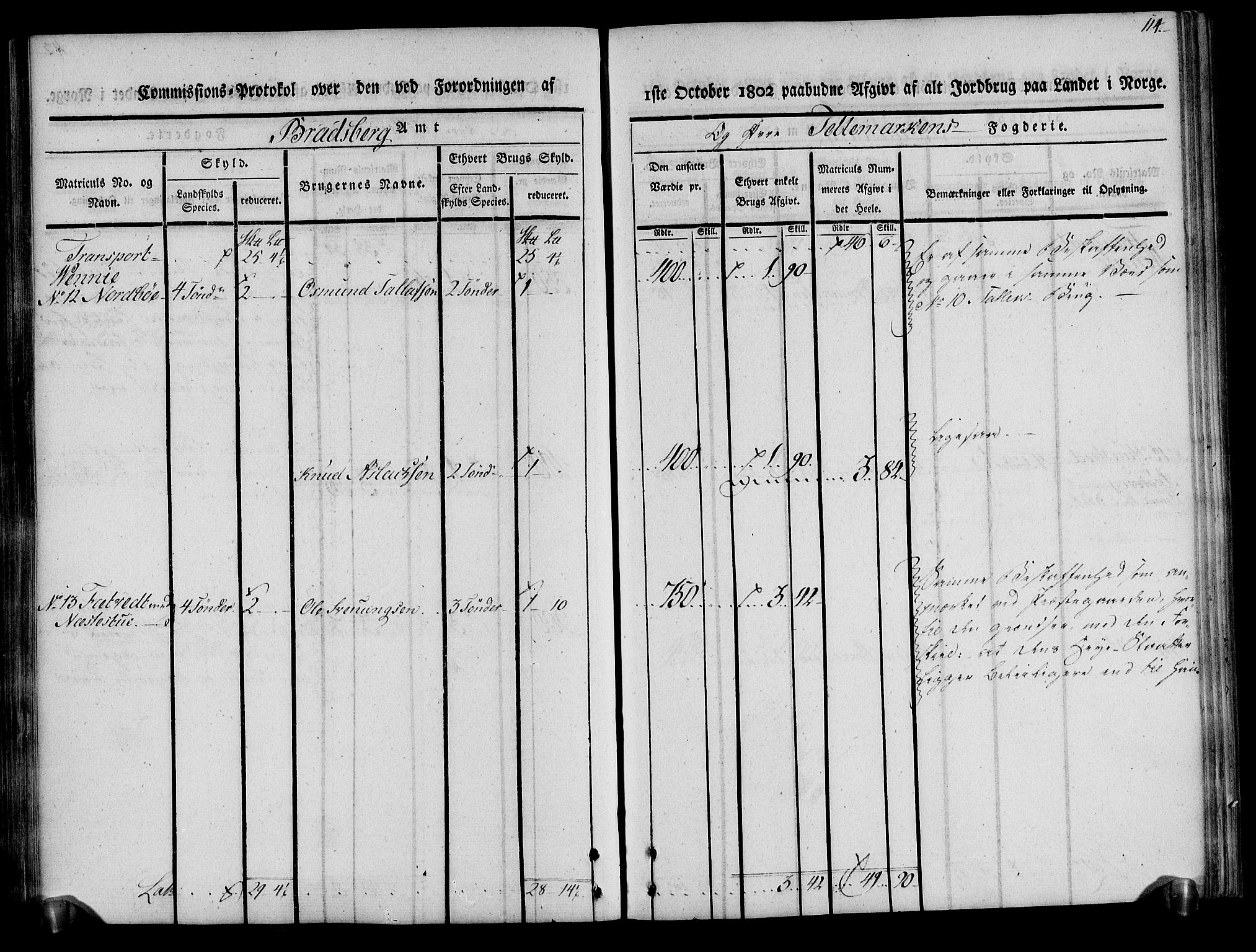 Rentekammeret inntil 1814, Realistisk ordnet avdeling, AV/RA-EA-4070/N/Ne/Nea/L0075: Øvre Telemarken fogderi. Kommisjonsprotokoll for fogderiets vestre del - Kviteseid, Vinje, Moland [):Fyresdal] og Lårdal prestegjeld., 1803, p. 115