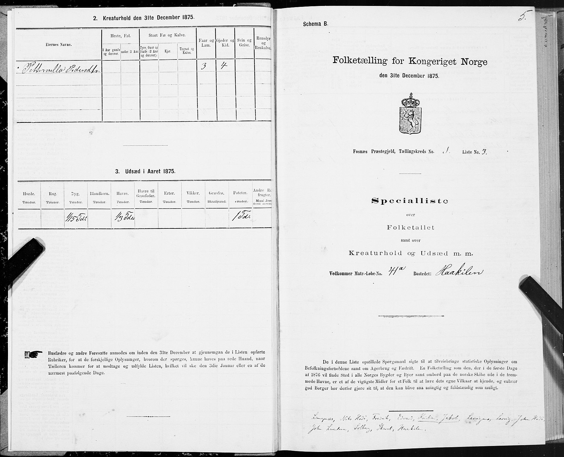 SAT, 1875 census for 1748P Fosnes, 1875, p. 3005