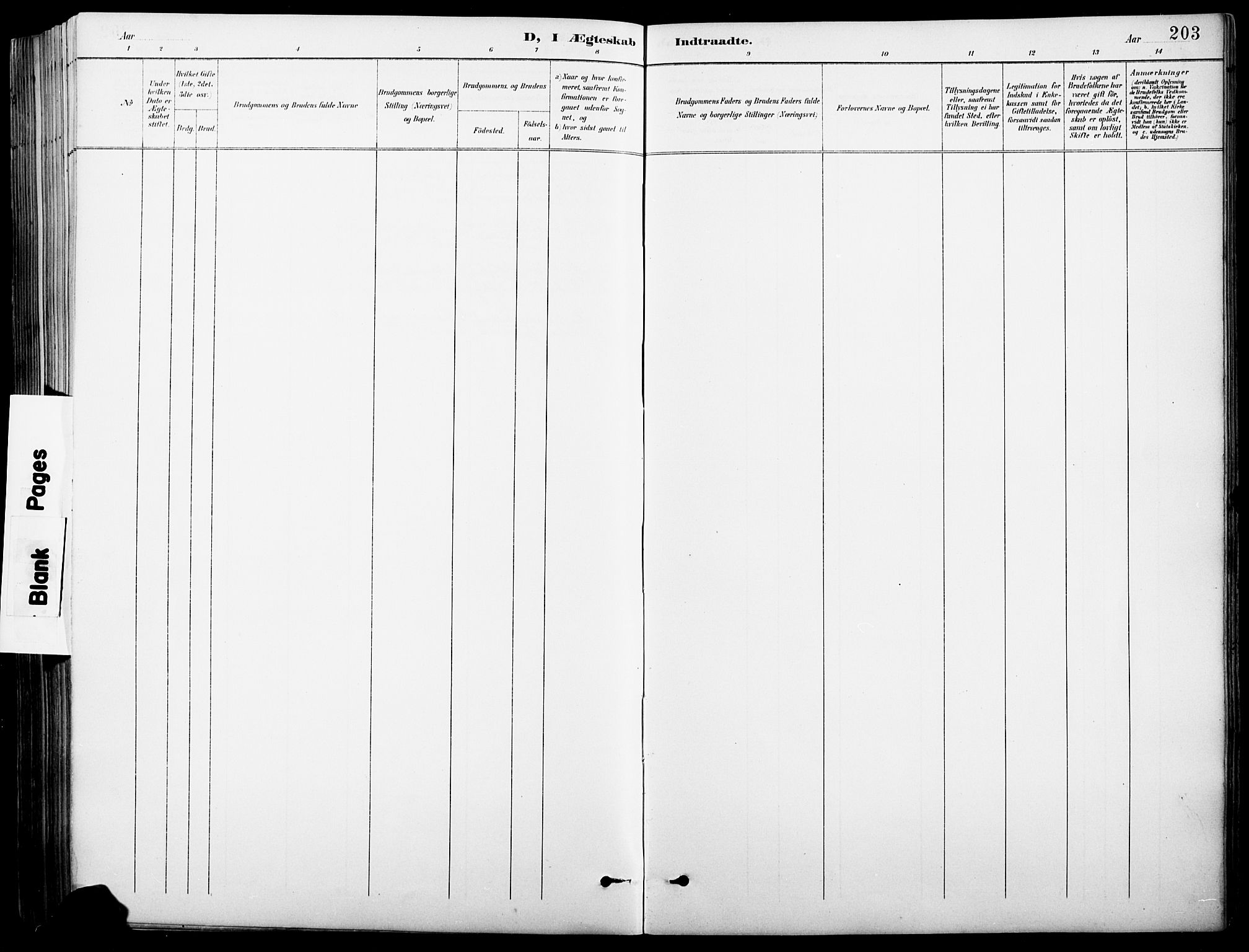 Vinger prestekontor, AV/SAH-PREST-024/H/Ha/Hab/L0004: Parish register (copy) no. 4, 1895-1920, p. 203