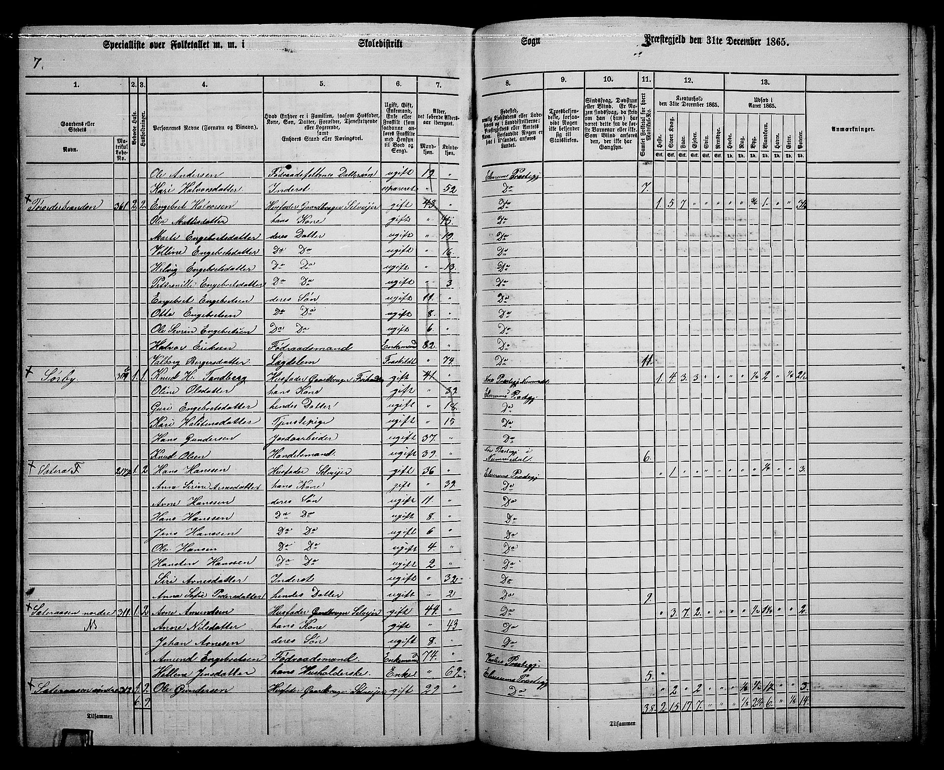 RA, 1865 census for Elverum, 1865, p. 242