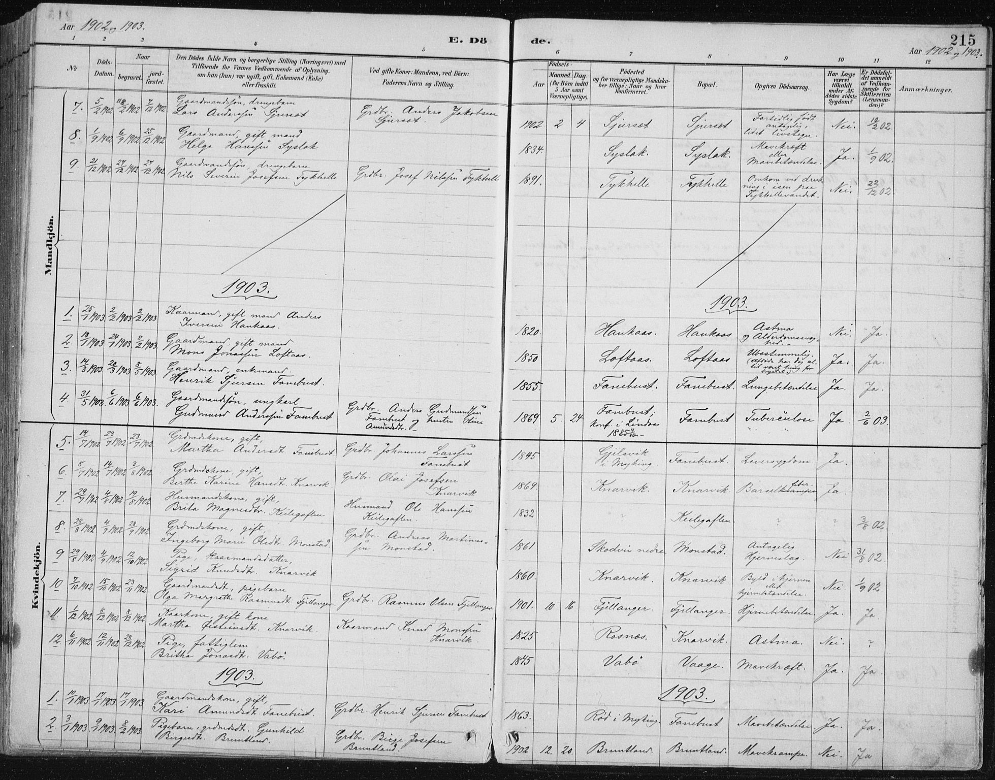 Lindås Sokneprestembete, SAB/A-76701/H/Hab: Parish register (copy) no. B 3, 1886-1914, p. 215
