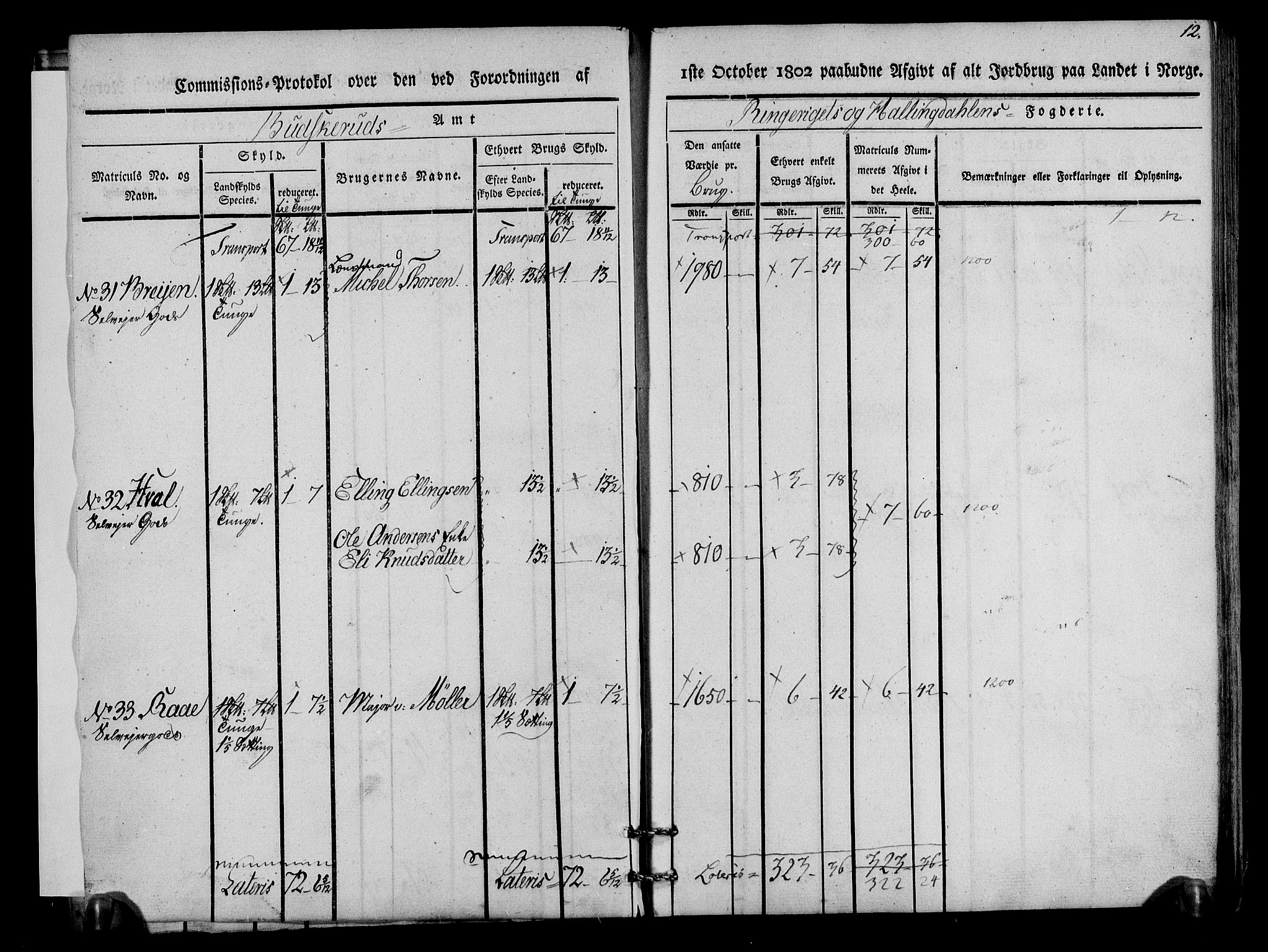 Rentekammeret inntil 1814, Realistisk ordnet avdeling, AV/RA-EA-4070/N/Ne/Nea/L0045: Ringerike og Hallingdal fogderi. Kommisjonsprotokoll for Norderhov prestegjeld, 1803, p. 14