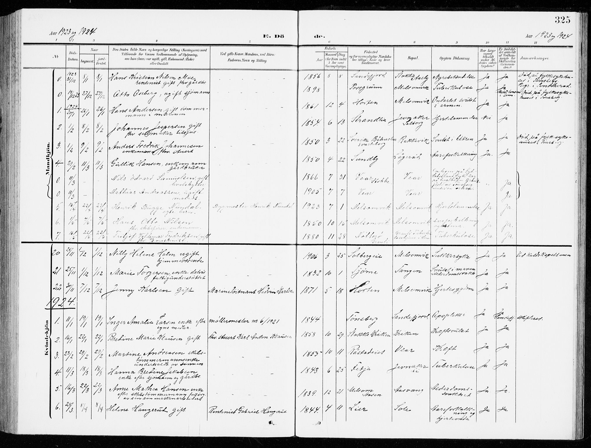 Stokke kirkebøker, SAKO/A-320/G/Ga/L0001: Parish register (copy) no. I 1, 1904-1940, p. 325