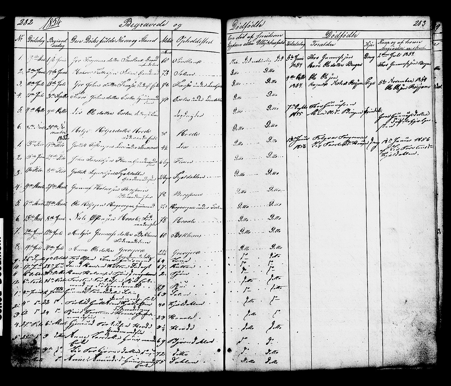 Hjartdal kirkebøker, SAKO/A-270/G/Gc/L0002: Parish register (copy) no. III 2, 1854-1890, p. 282-283