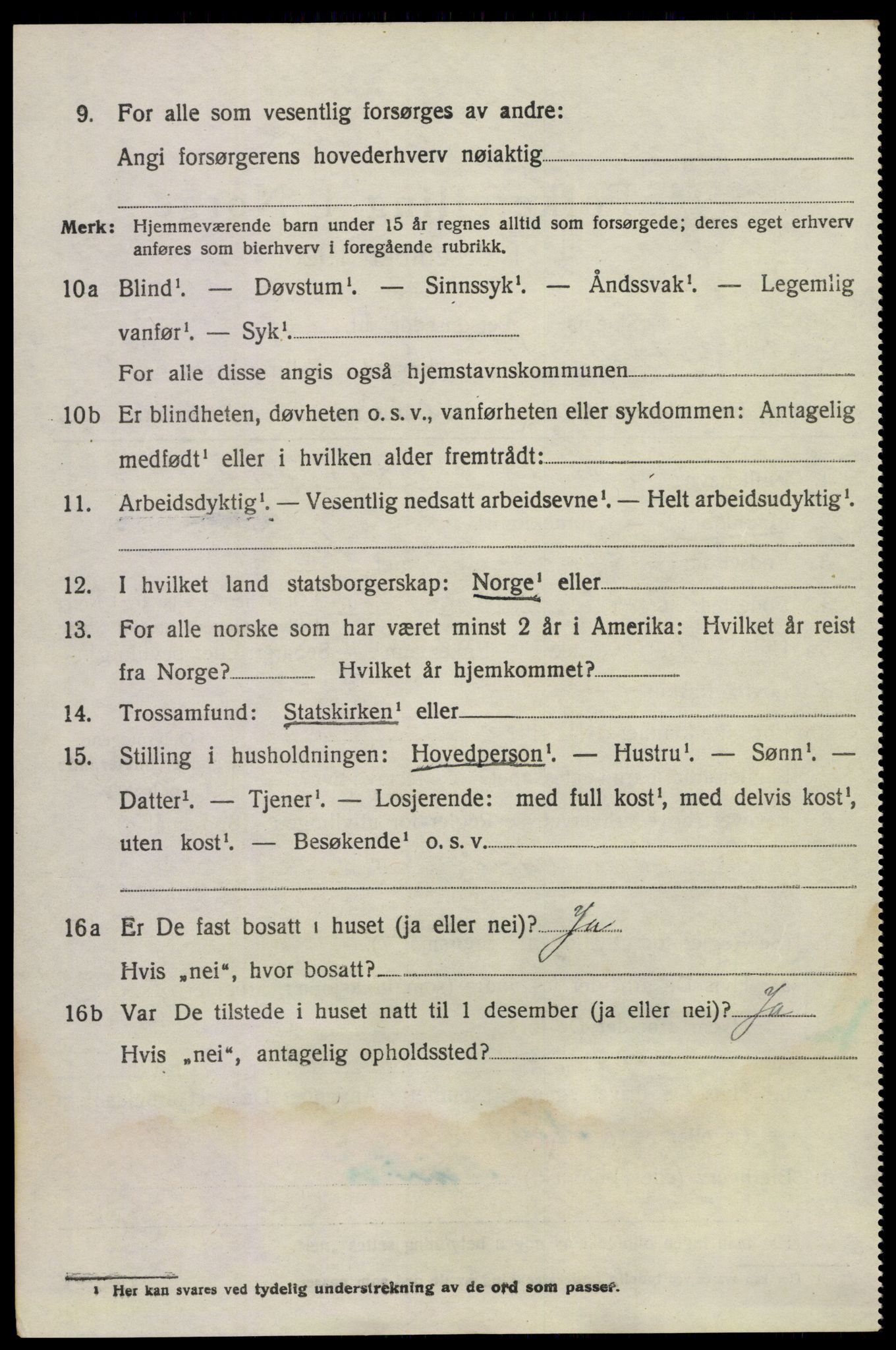 SAKO, 1920 census for Våle, 1920, p. 1951