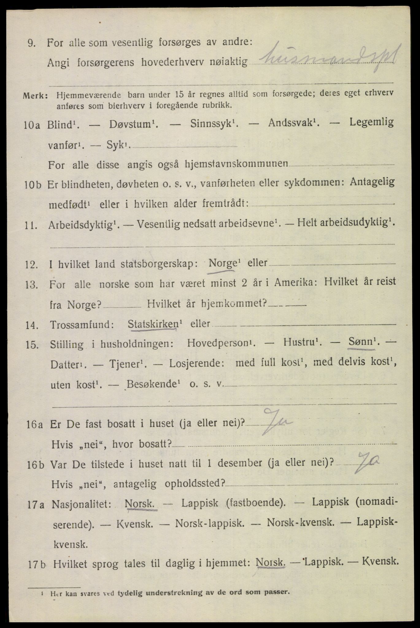 SAT, 1920 census for Bodin, 1920, p. 10873