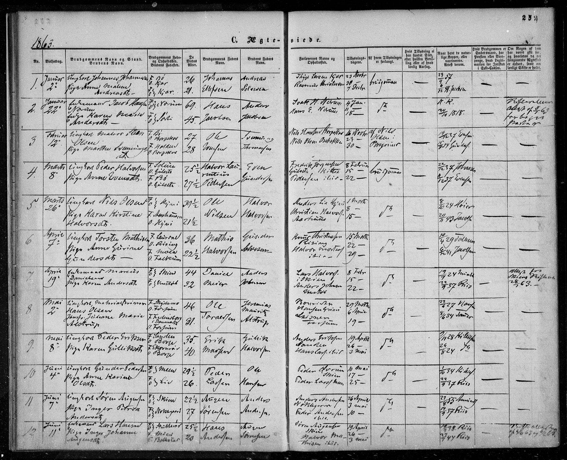 Gjerpen kirkebøker, SAKO/A-265/F/Fa/L0008b: Parish register (official) no. I 8B, 1857-1871, p. 252