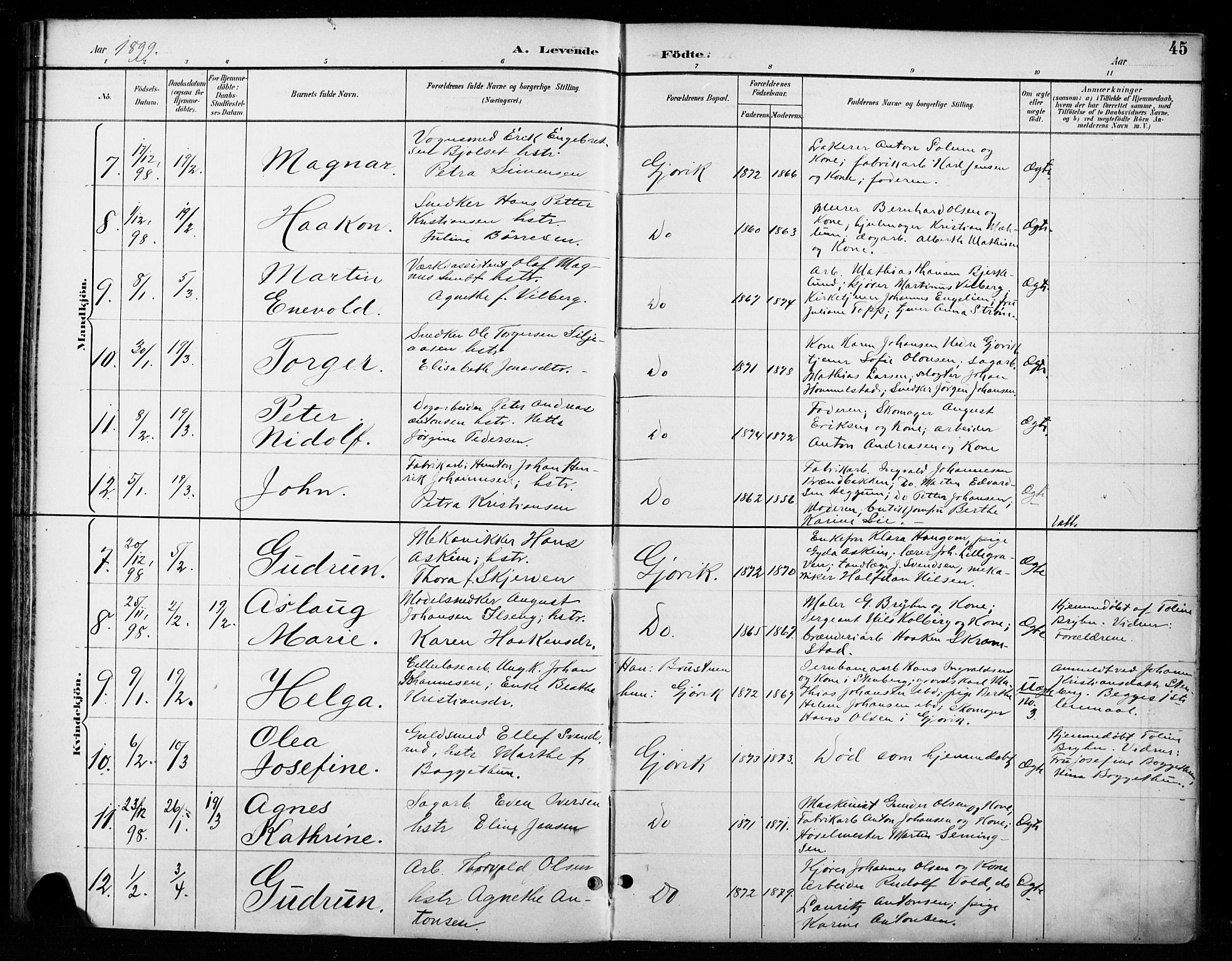 Vardal prestekontor, SAH/PREST-100/H/Ha/Haa/L0011: Parish register (official) no. 11, 1891-1901, p. 45