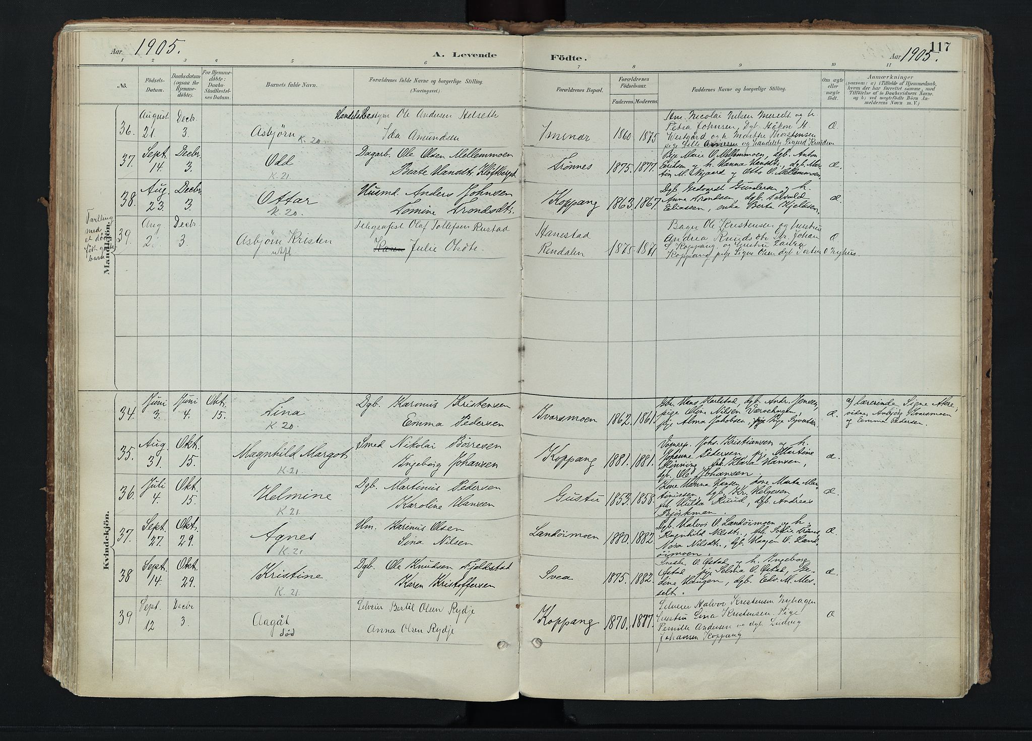 Stor-Elvdal prestekontor, AV/SAH-PREST-052/H/Ha/Haa/L0004: Parish register (official) no. 4, 1890-1922, p. 117