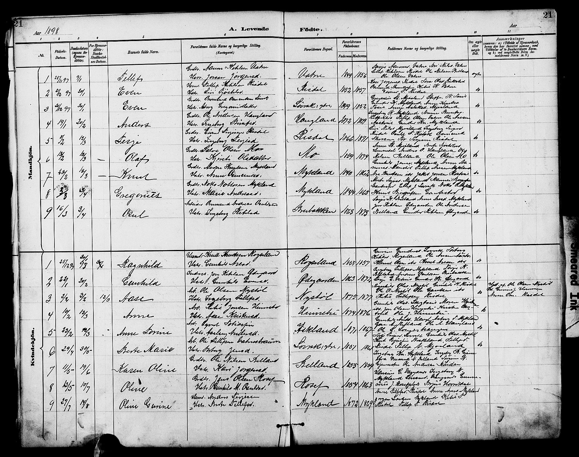 Herefoss sokneprestkontor, AV/SAK-1111-0019/F/Fb/Fbc/L0003: Parish register (copy) no. B 3, 1887-1915, p. 21