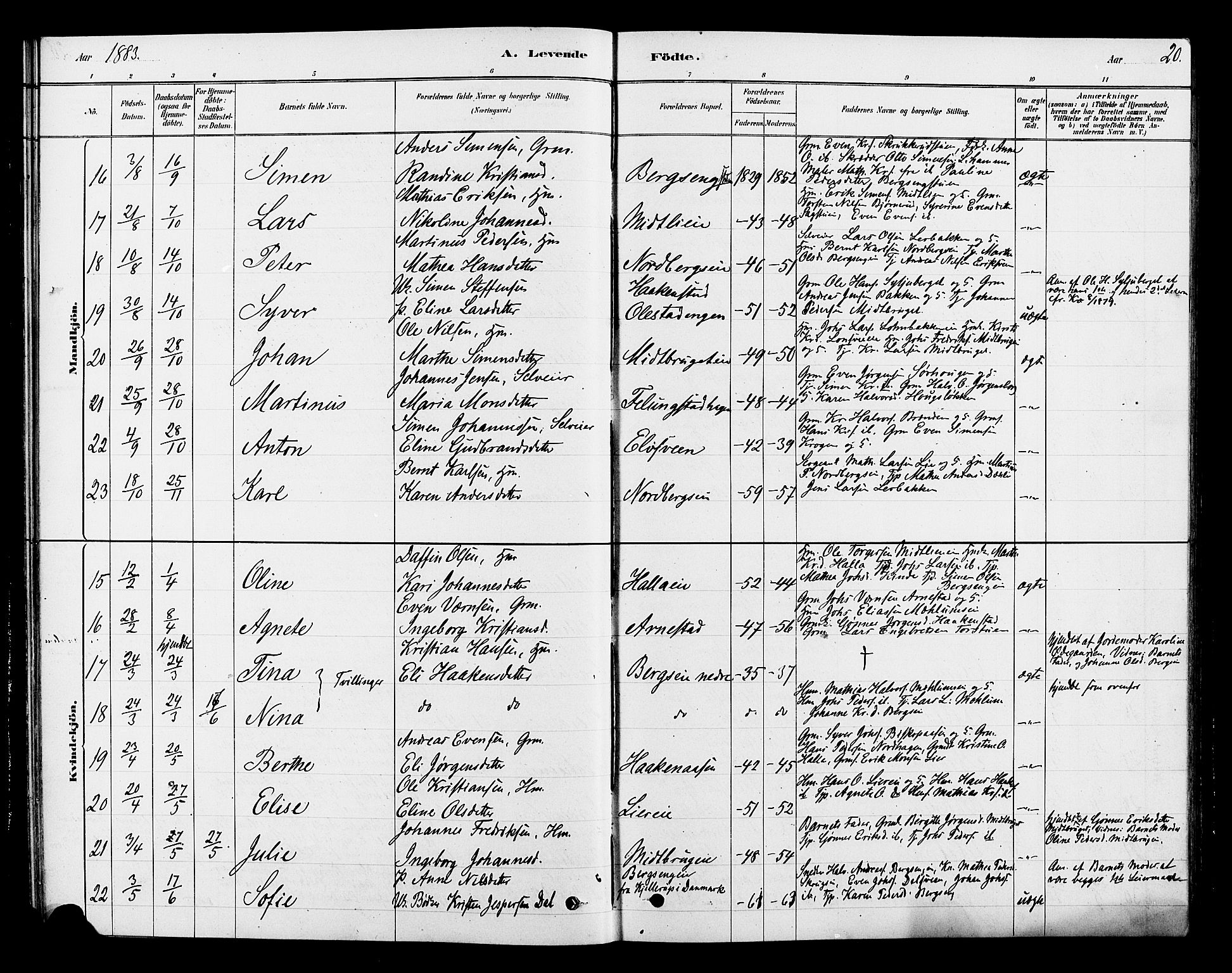 Ringsaker prestekontor, SAH/PREST-014/L/La/L0010: Parish register (copy) no. 10, 1879-1890, p. 20