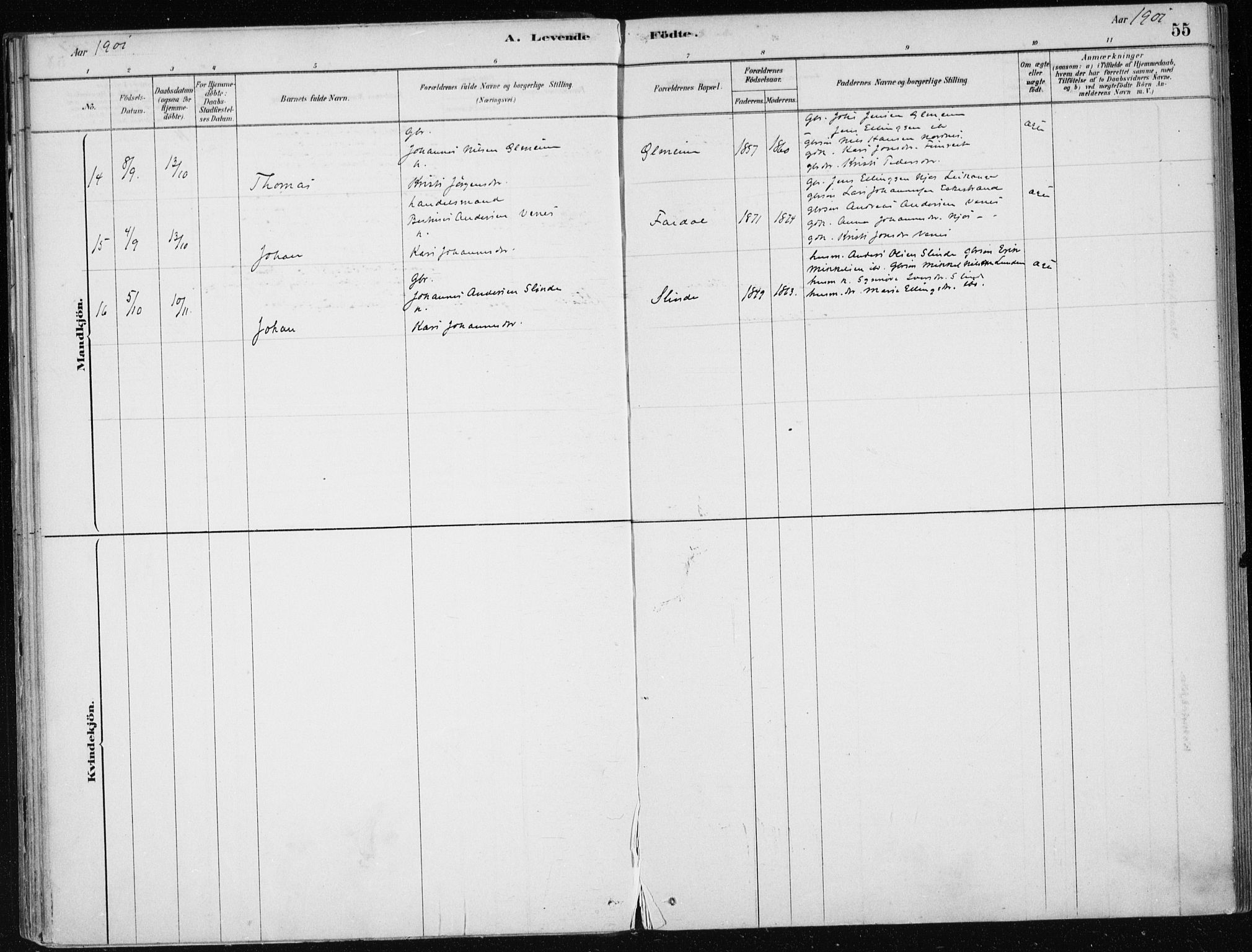 Sogndal sokneprestembete, AV/SAB-A-81301/H/Haa/Haac/L0001: Parish register (official) no. C 1, 1878-1907, p. 55