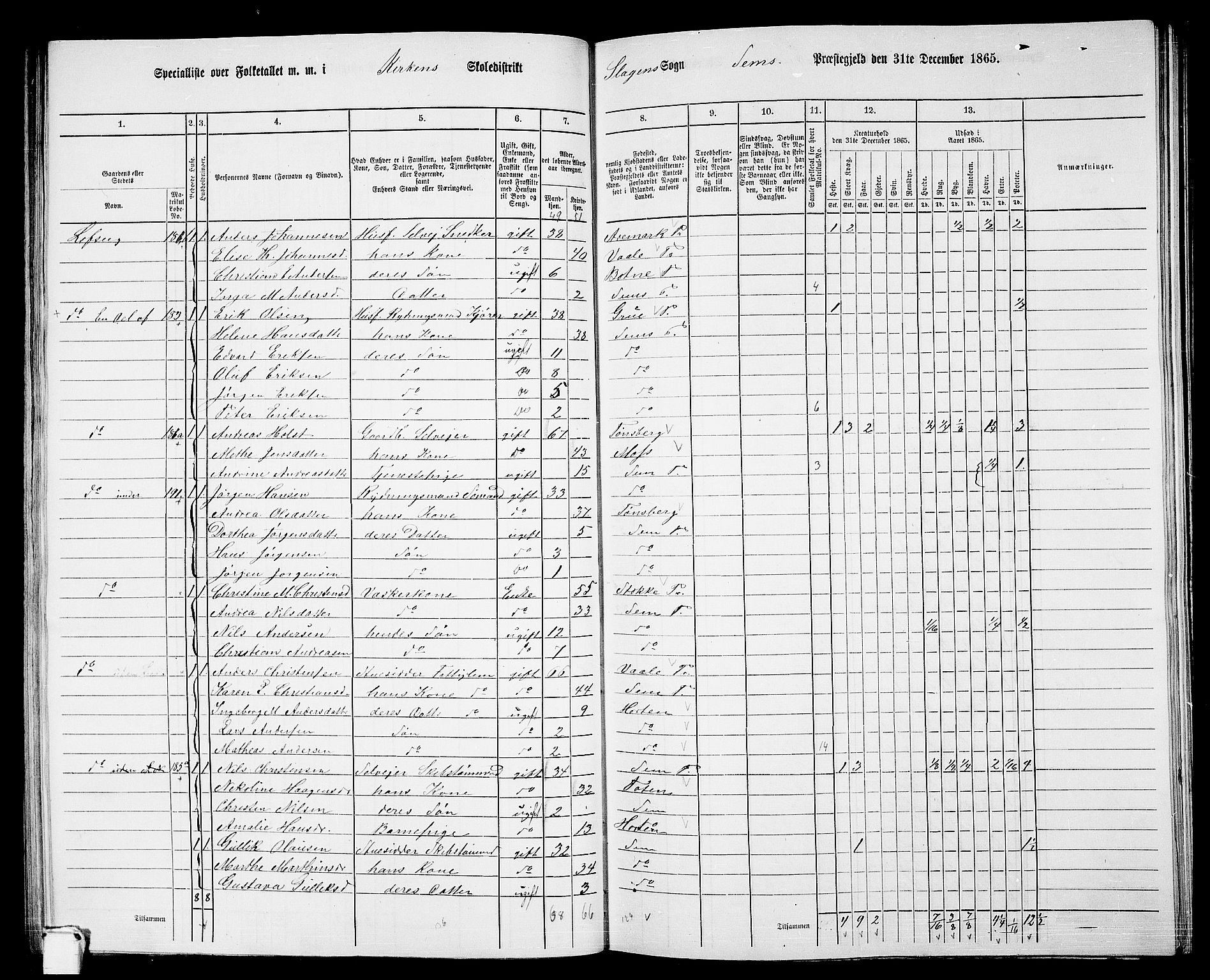 RA, 1865 census for Sem, 1865, p. 96