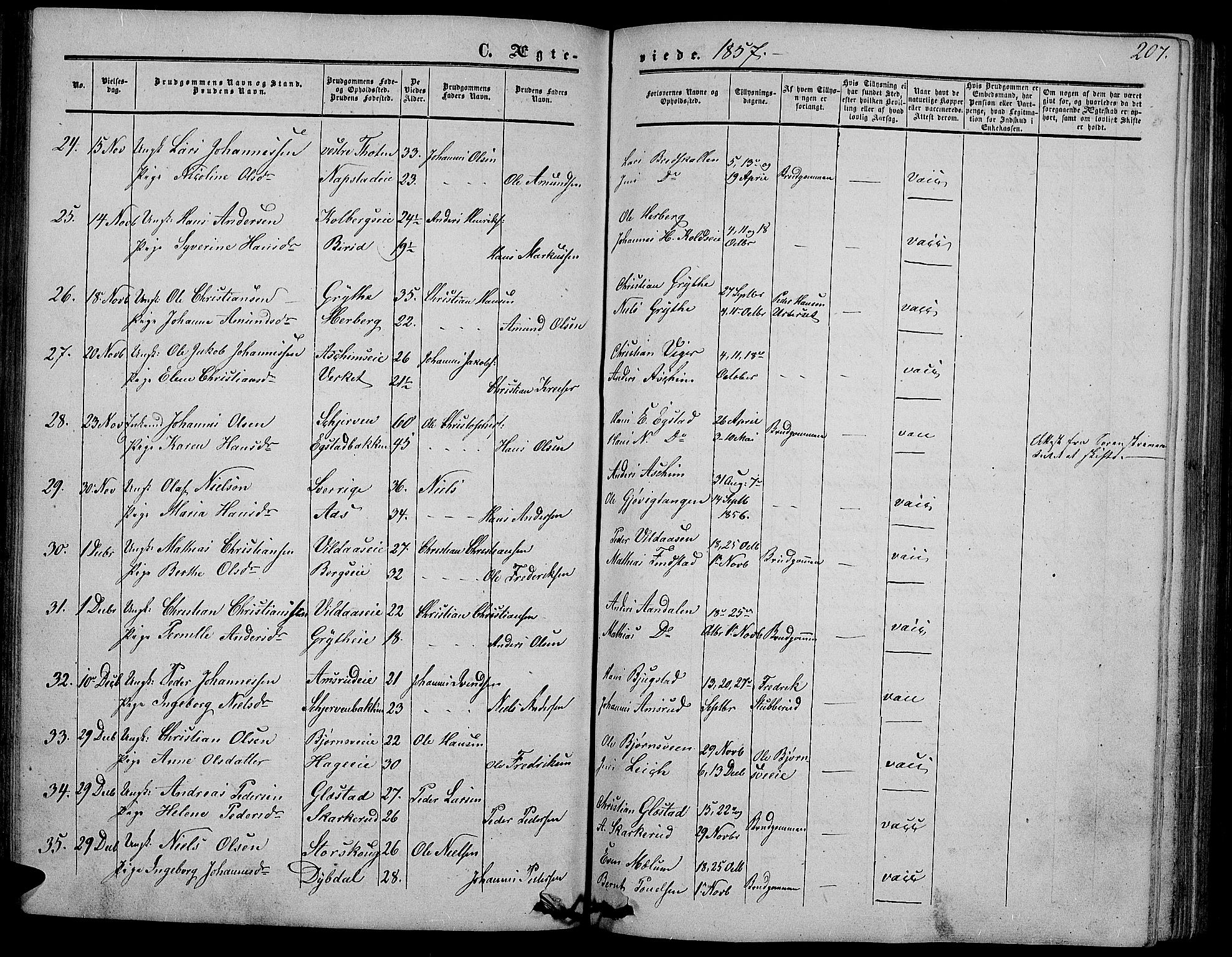 Vardal prestekontor, SAH/PREST-100/H/Ha/Hab/L0005: Parish register (copy) no. 5, 1854-1868, p. 207