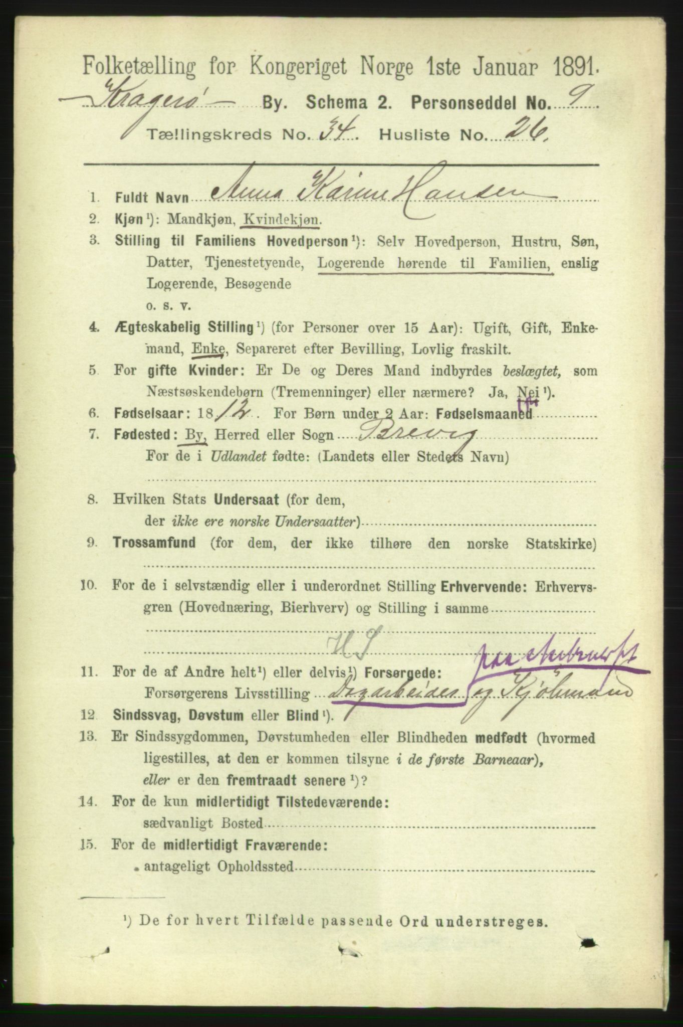 RA, 1891 census for 0801 Kragerø, 1891, p. 6246