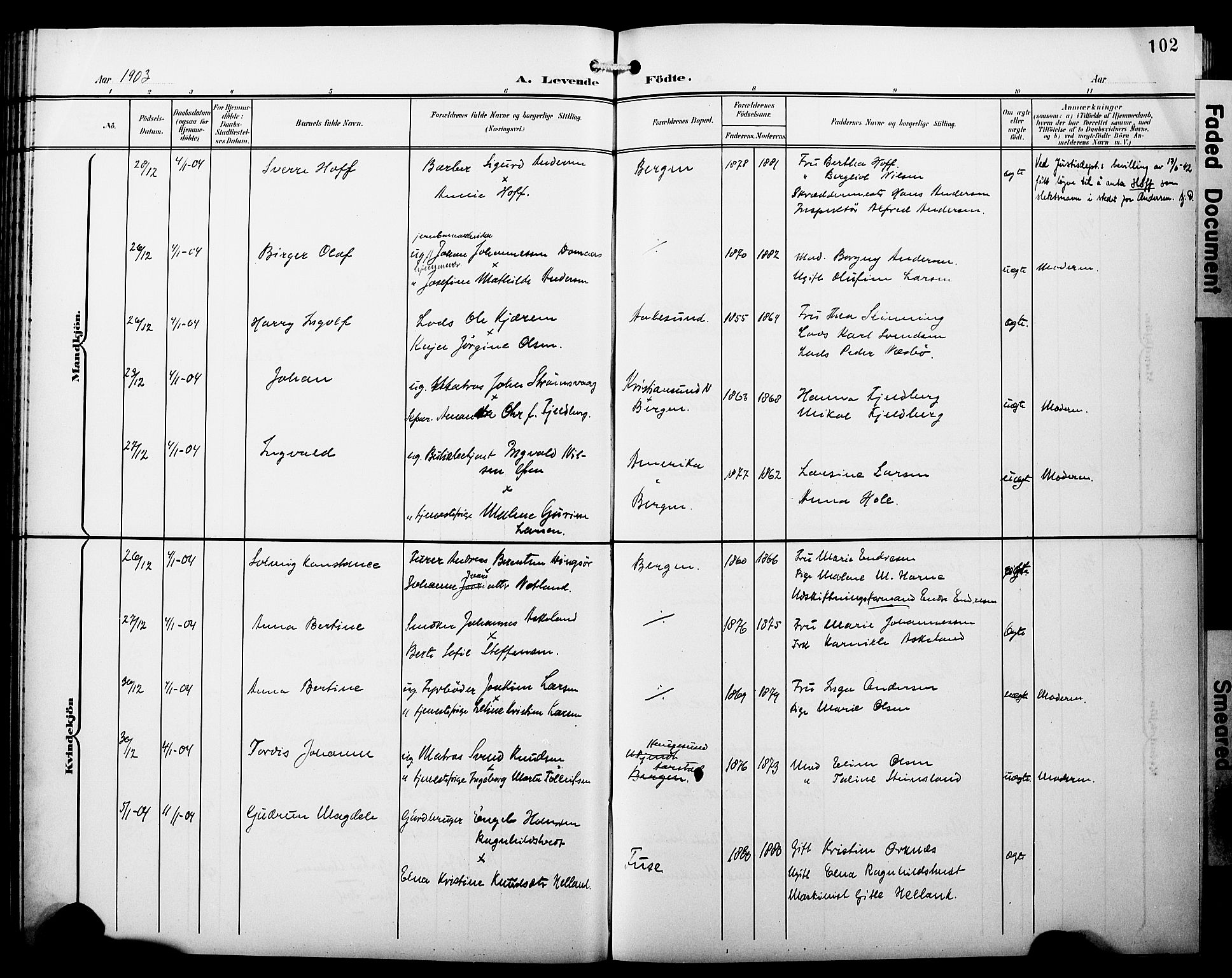 Fødselsstiftelsens sokneprestembete*, SAB/-: Parish register (copy) no. A 1, 1900-1909, p. 102