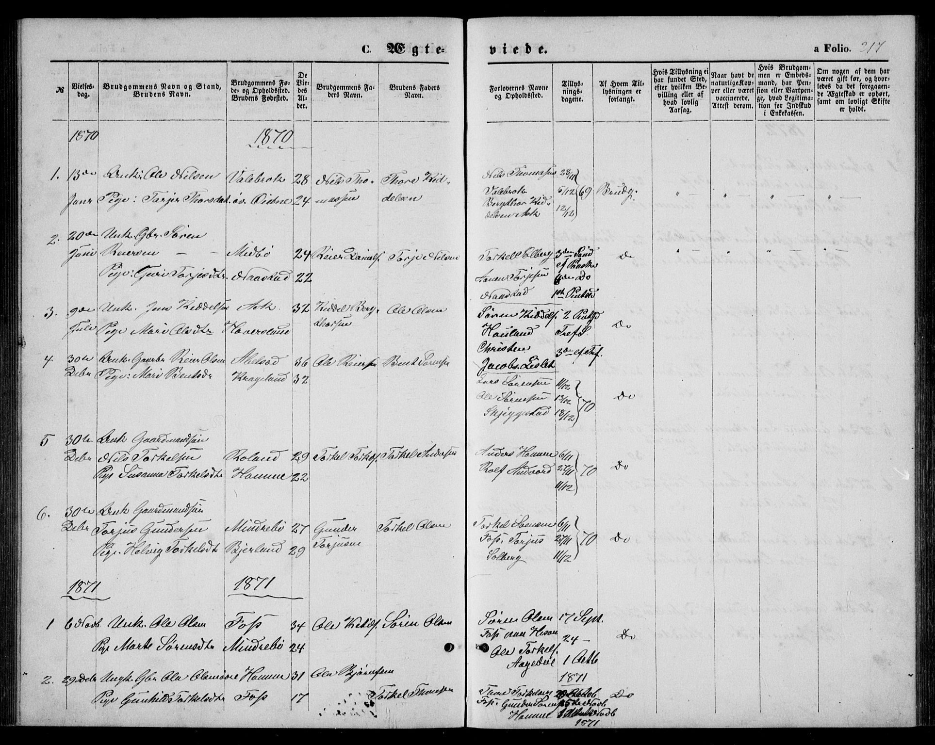 Bjelland sokneprestkontor, SAK/1111-0005/F/Fb/Fba/L0004: Parish register (copy) no. B 4, 1869-1886, p. 217