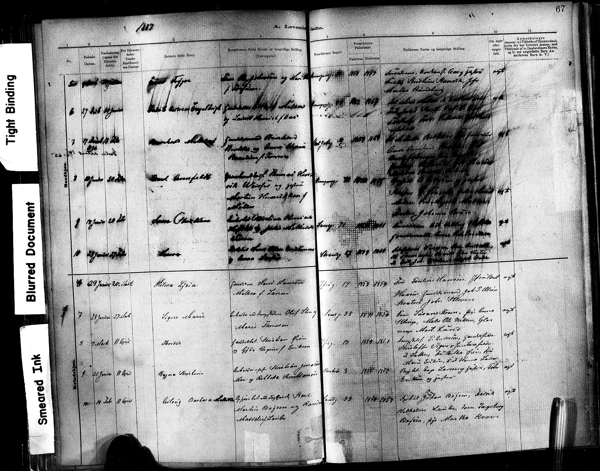 Ministerialprotokoller, klokkerbøker og fødselsregistre - Sør-Trøndelag, SAT/A-1456/602/L0119: Parish register (official) no. 602A17, 1880-1901, p. 67