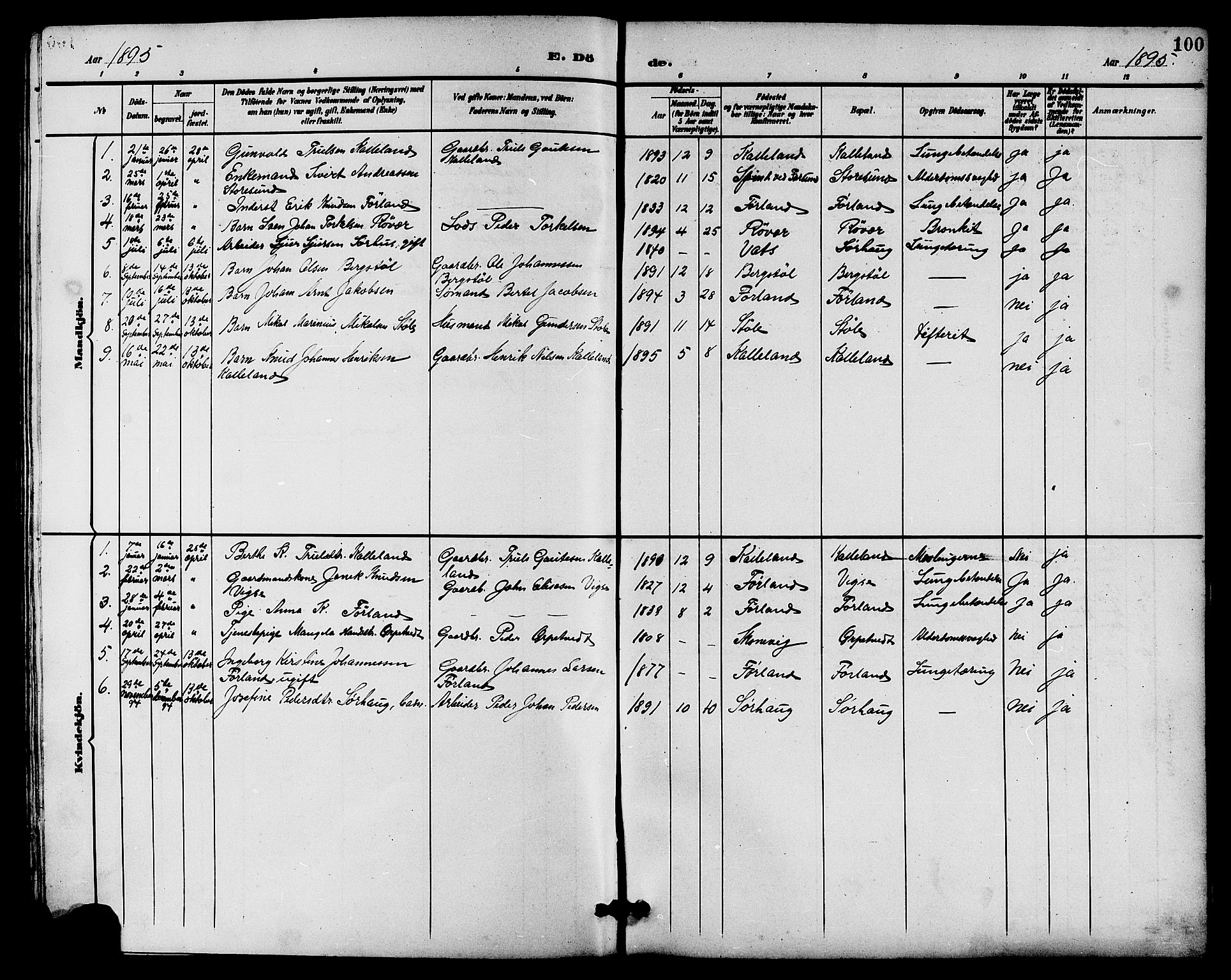 Haugesund sokneprestkontor, SAST/A -101863/H/Ha/Hab/L0004: Parish register (copy) no. B 4, 1889-1905, p. 100