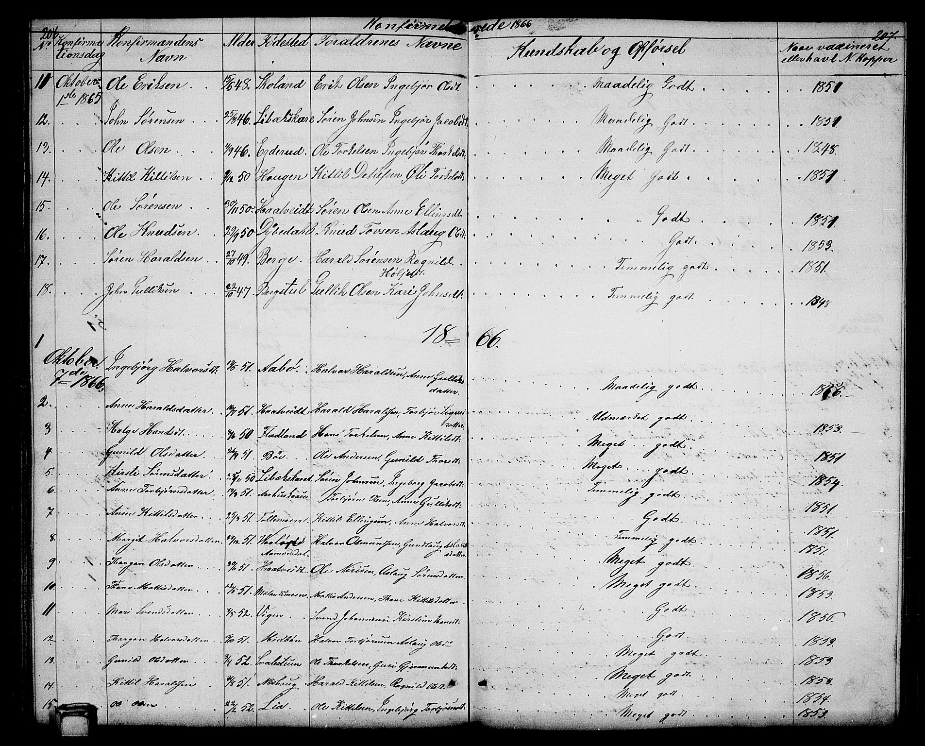 Hjartdal kirkebøker, SAKO/A-270/G/Ga/L0002: Parish register (copy) no. I 2, 1854-1888, p. 206-207