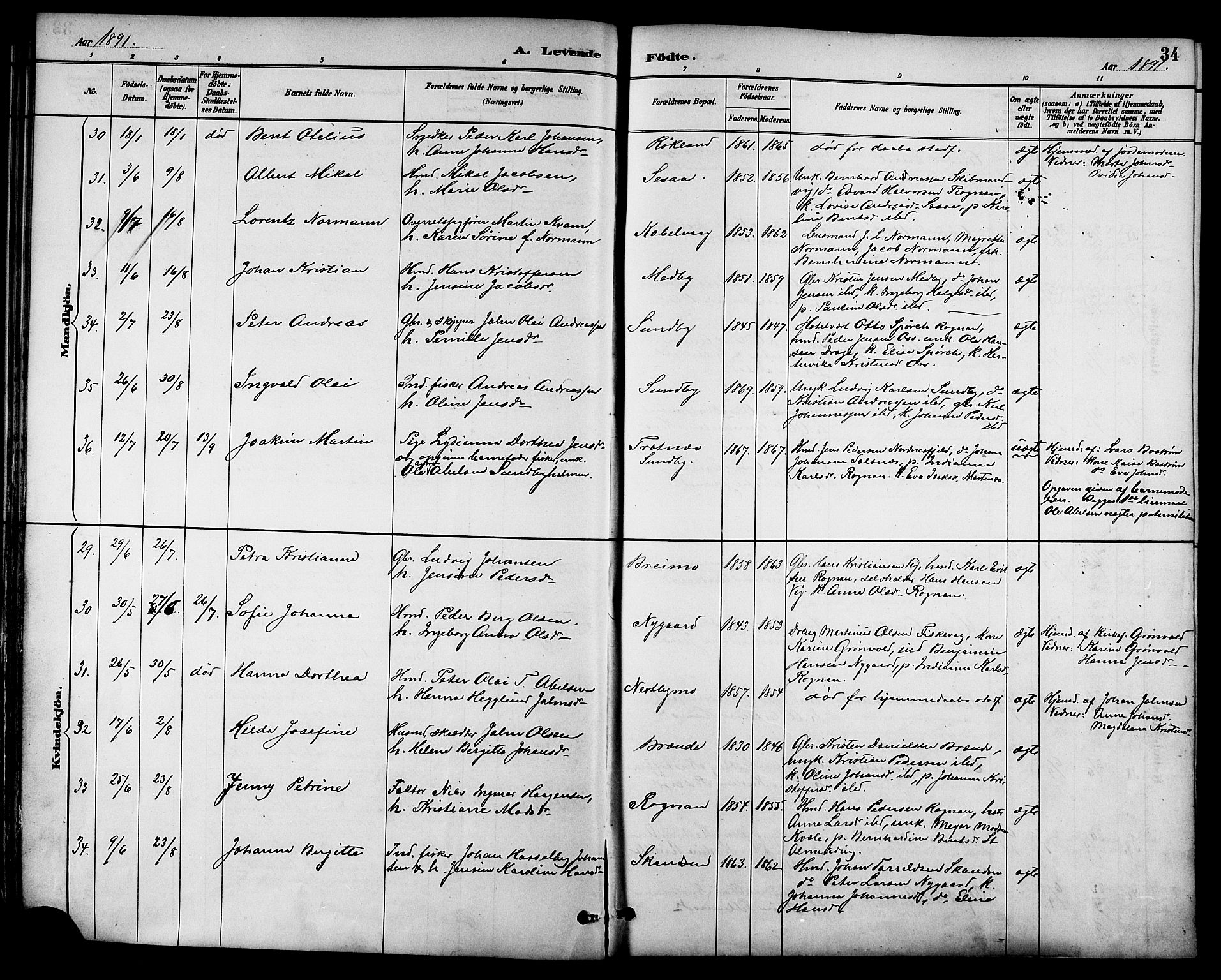 Ministerialprotokoller, klokkerbøker og fødselsregistre - Nordland, AV/SAT-A-1459/847/L0669: Parish register (official) no. 847A09, 1887-1901, p. 34