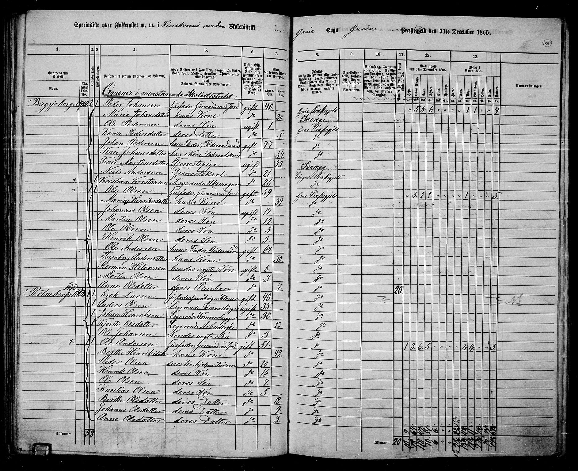 RA, 1865 census for Grue, 1865, p. 161