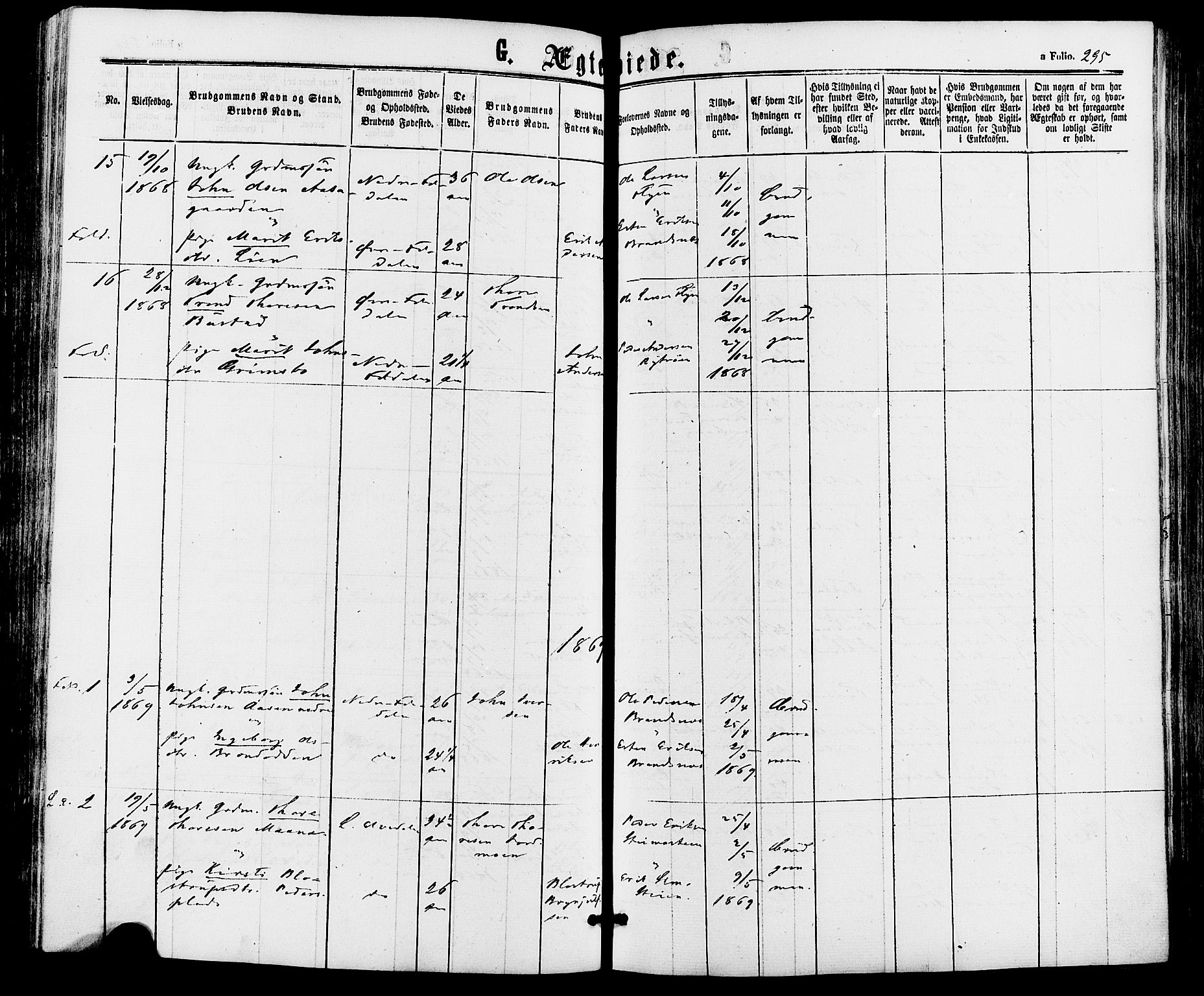 Alvdal prestekontor, SAH/PREST-060/H/Ha/Haa/L0001: Parish register (official) no. 1, 1863-1882, p. 295