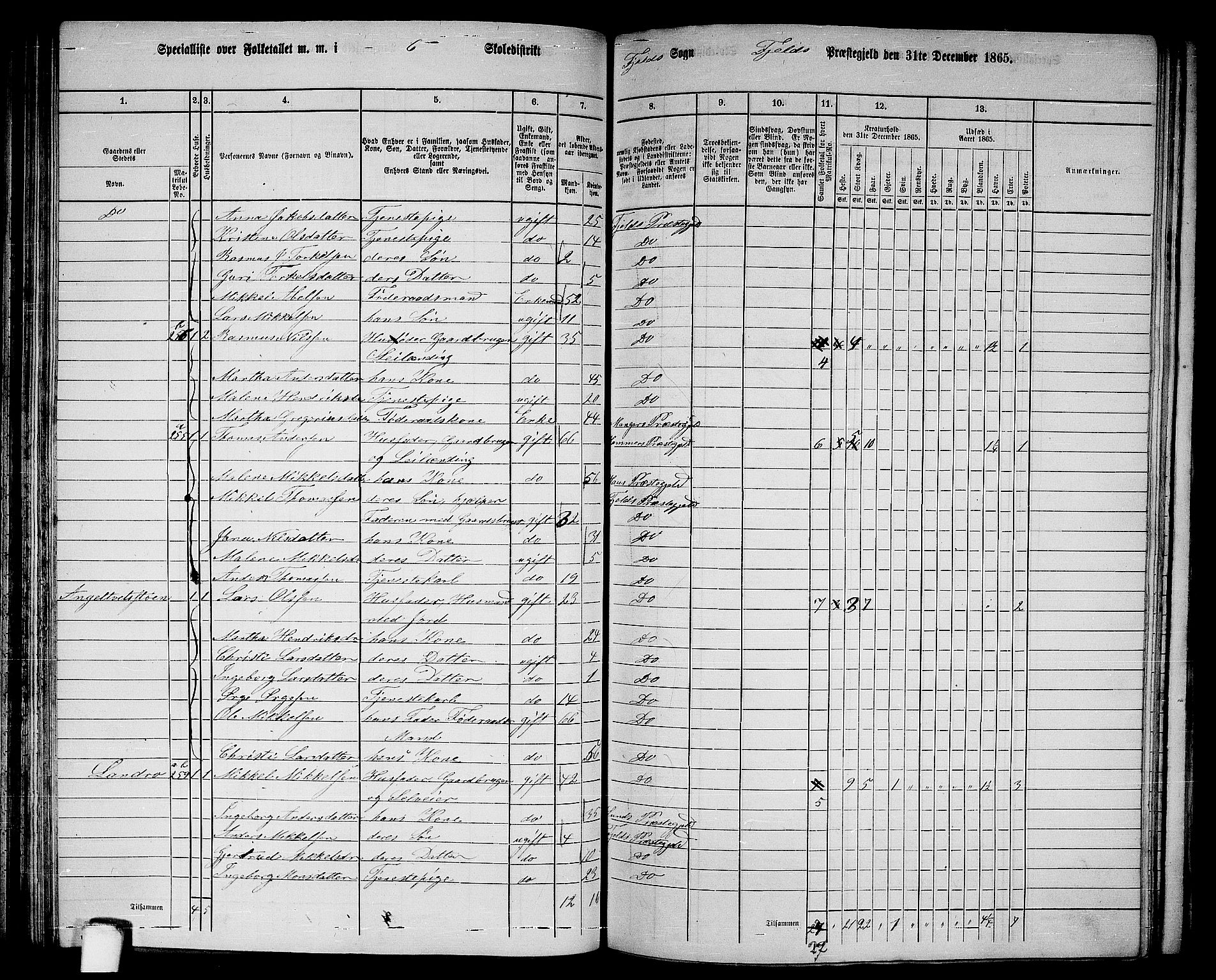 RA, 1865 census for Fjell, 1865, p. 102