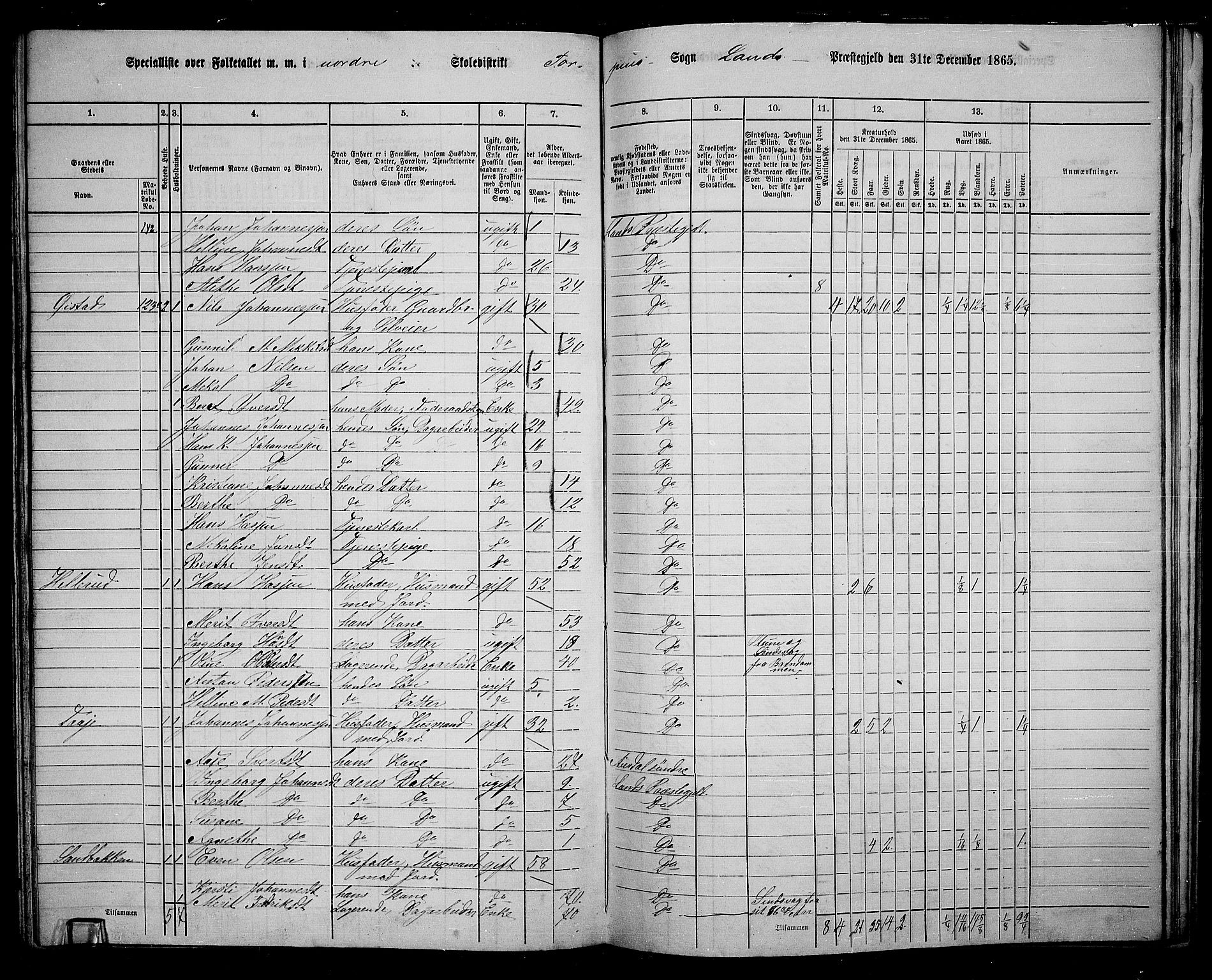 RA, 1865 census for Land, 1865, p. 155