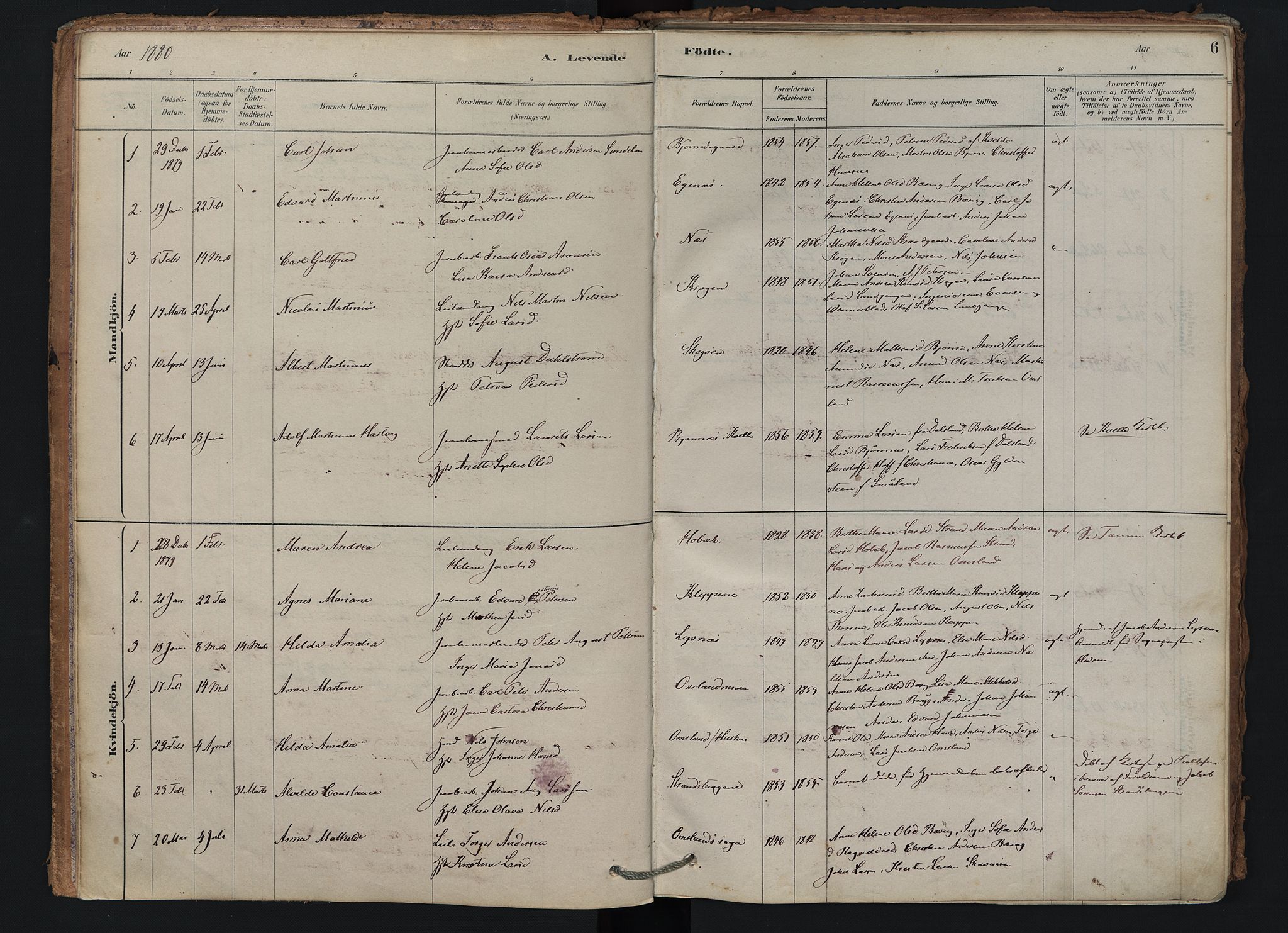 Brunlanes kirkebøker, SAKO/A-342/F/Fd/L0001: Parish register (official) no. IV 1, 1878-1917, p. 6