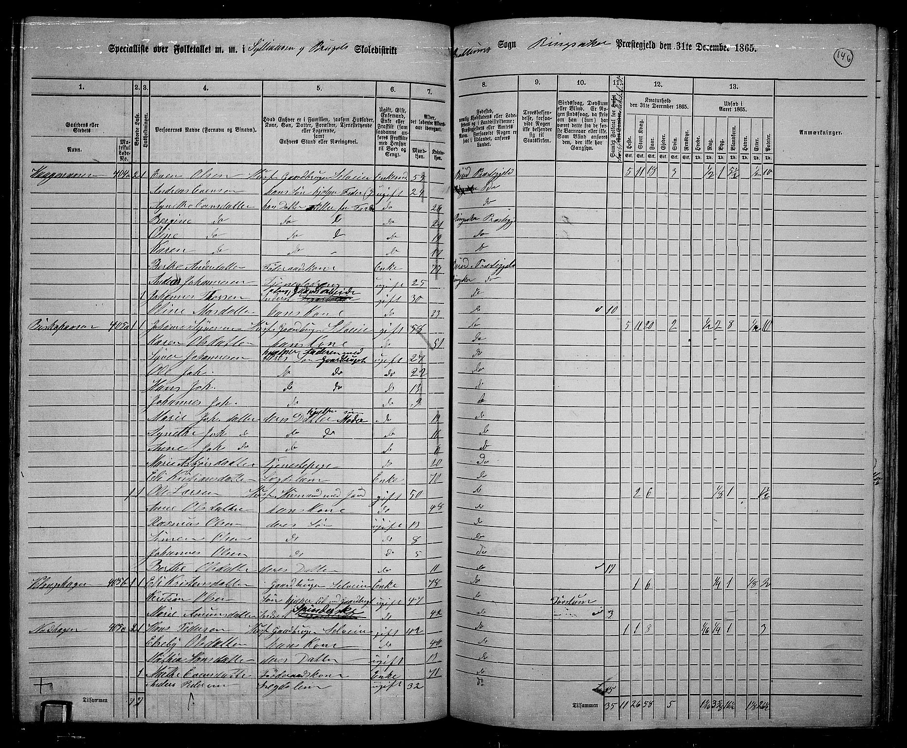 RA, 1865 census for Ringsaker, 1865, p. 389