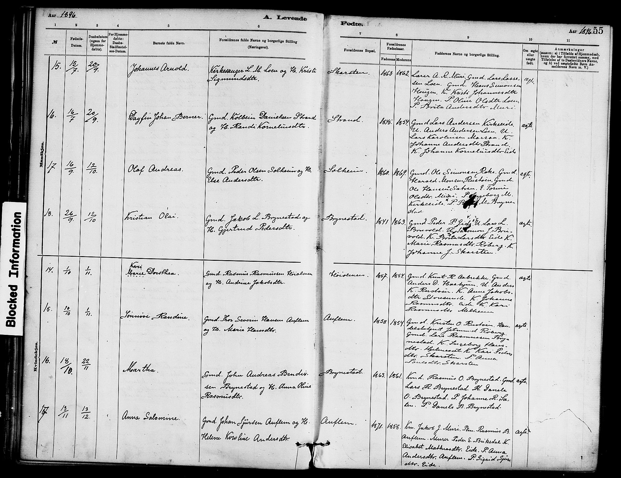 Innvik sokneprestembete, SAB/A-80501: Parish register (official) no. C 1, 1879-1900, p. 55